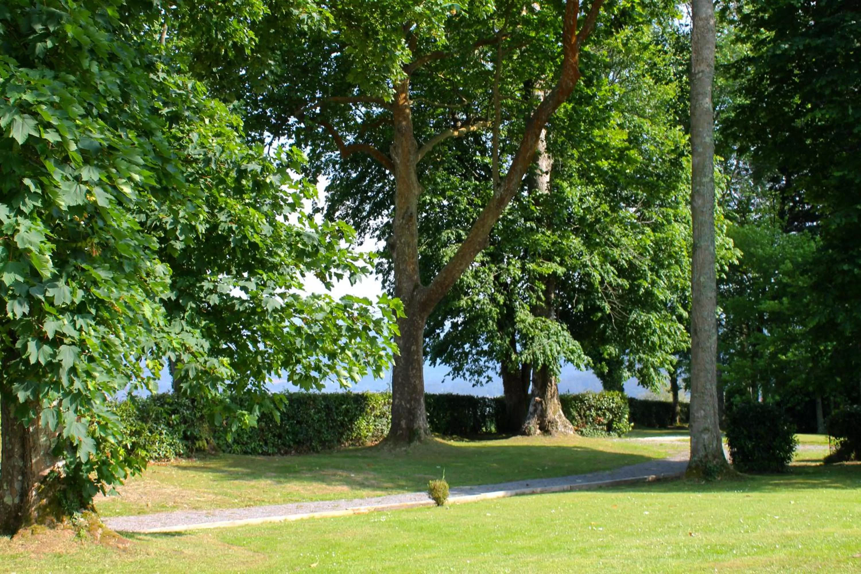 Garden in HOTEL BOUTIQUE VILLA DEL MARQUÉS