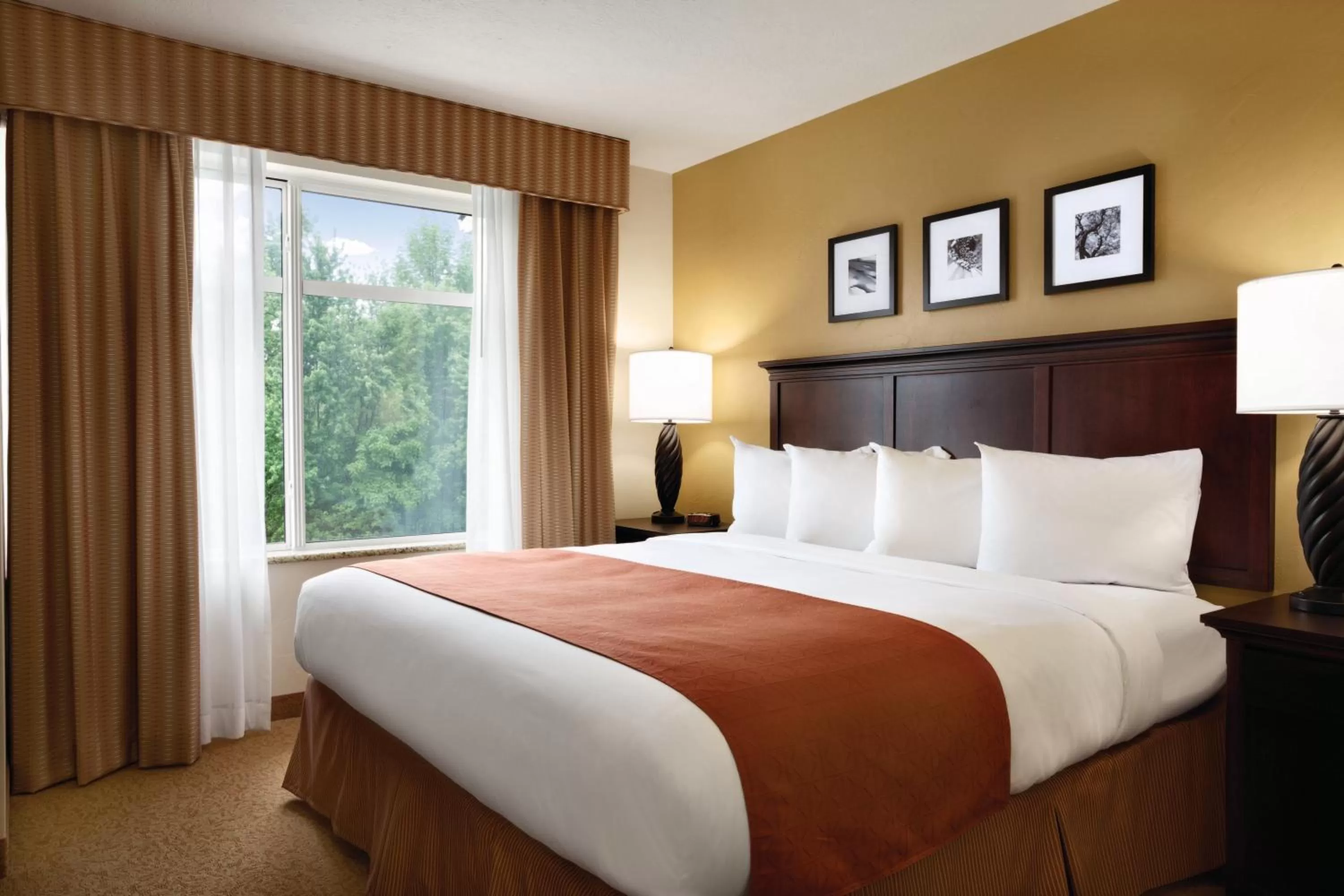 Country Inn & Suites by Radisson, Savannah I-95 North, GA