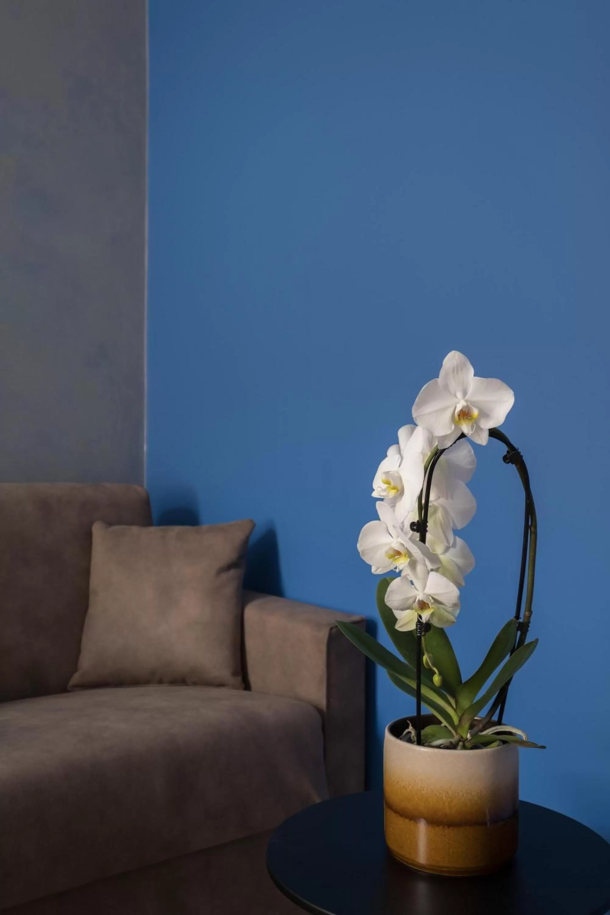 Seating area in Hotel Zurigo Downtown