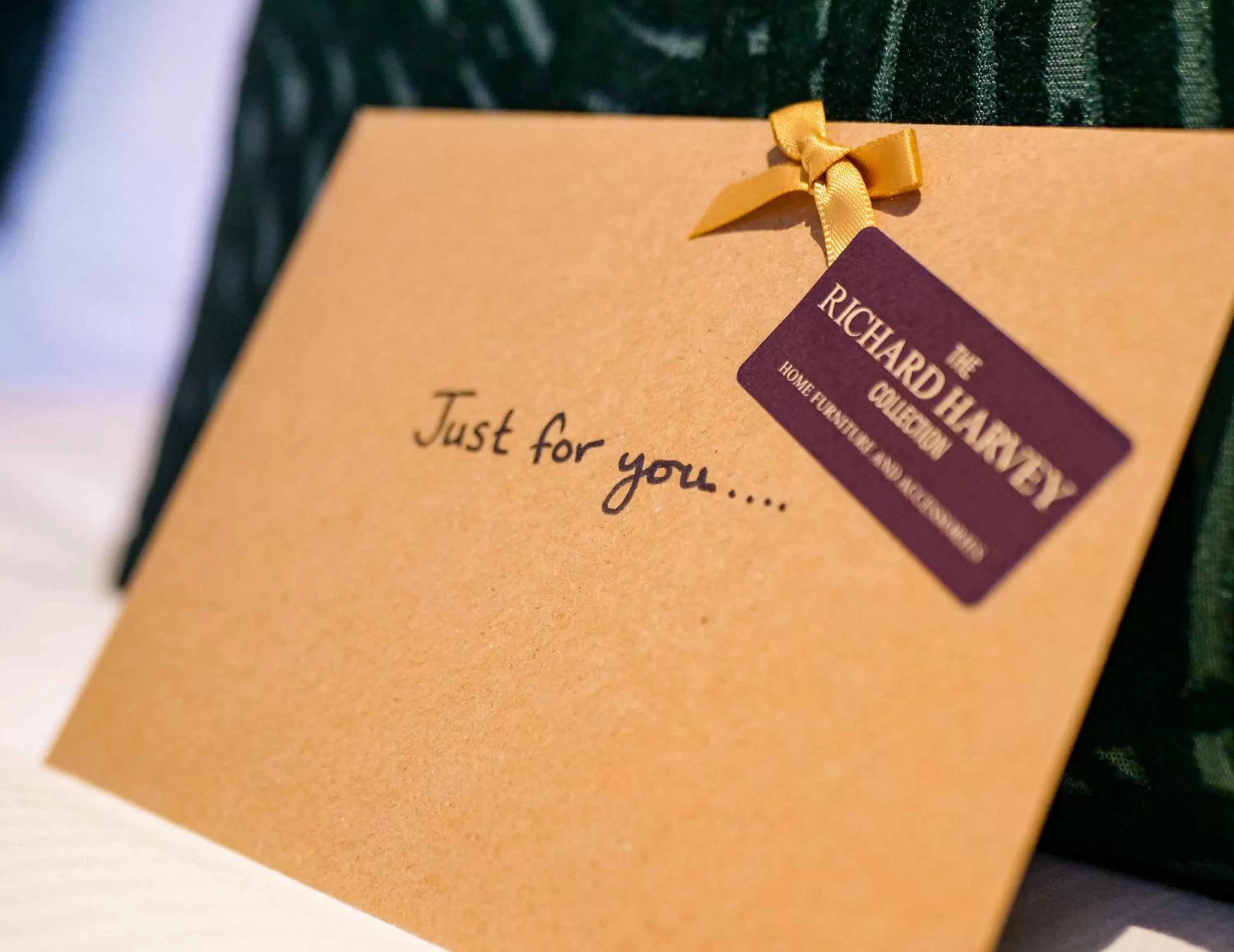 Certificate/Award in The Lazy Pug