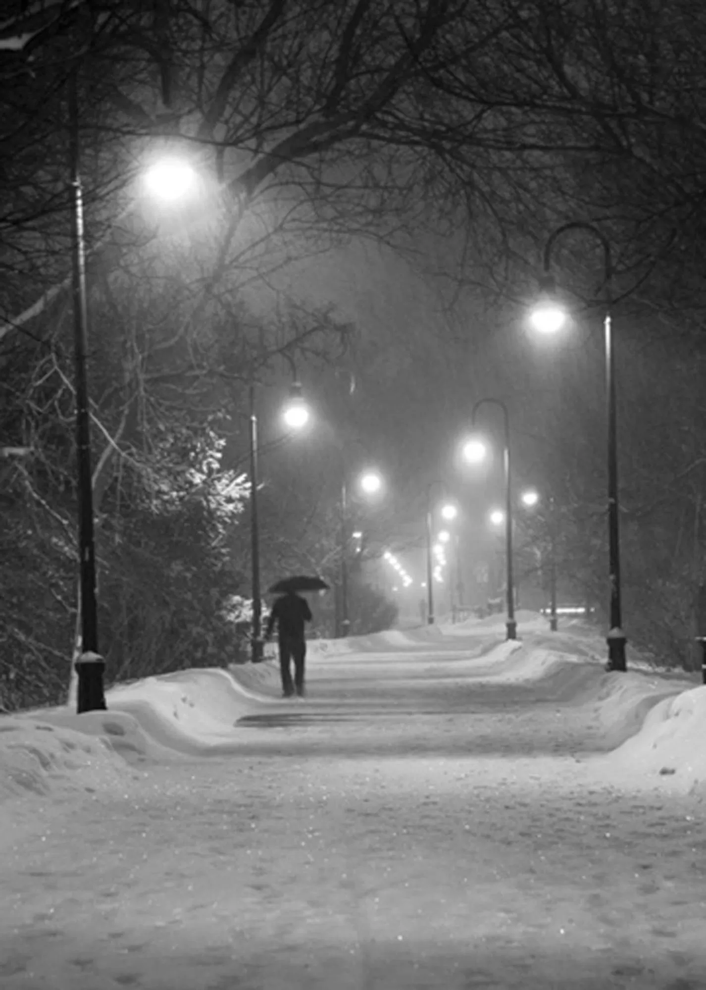 Natural landscape, Winter in The Morrison House Bed and Breakfast