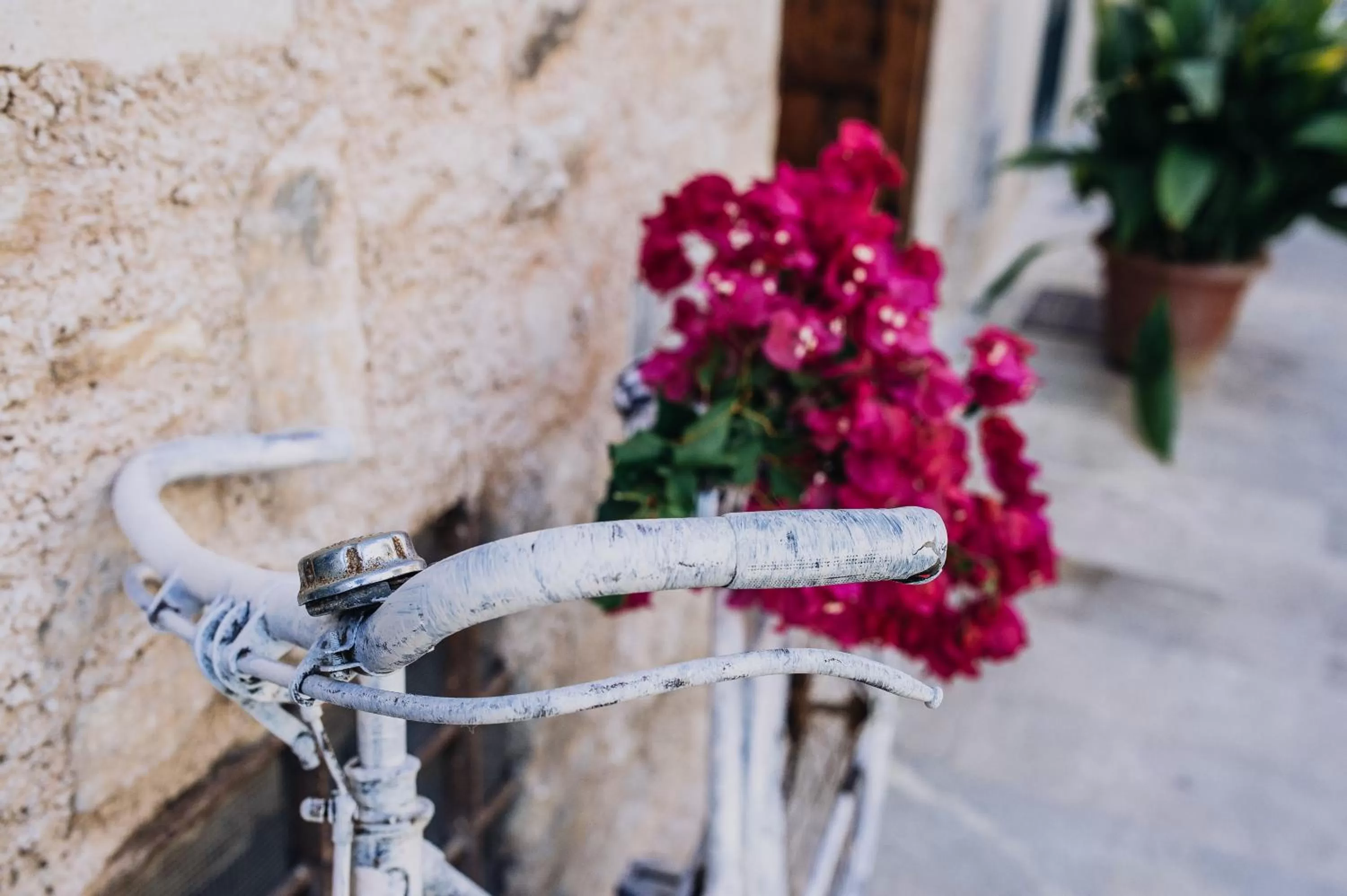 Facade/entrance in Can Solaies