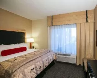 1 King Bed, One-Bedroom, Suite, Non-Smoking in Wyndham Noblesville