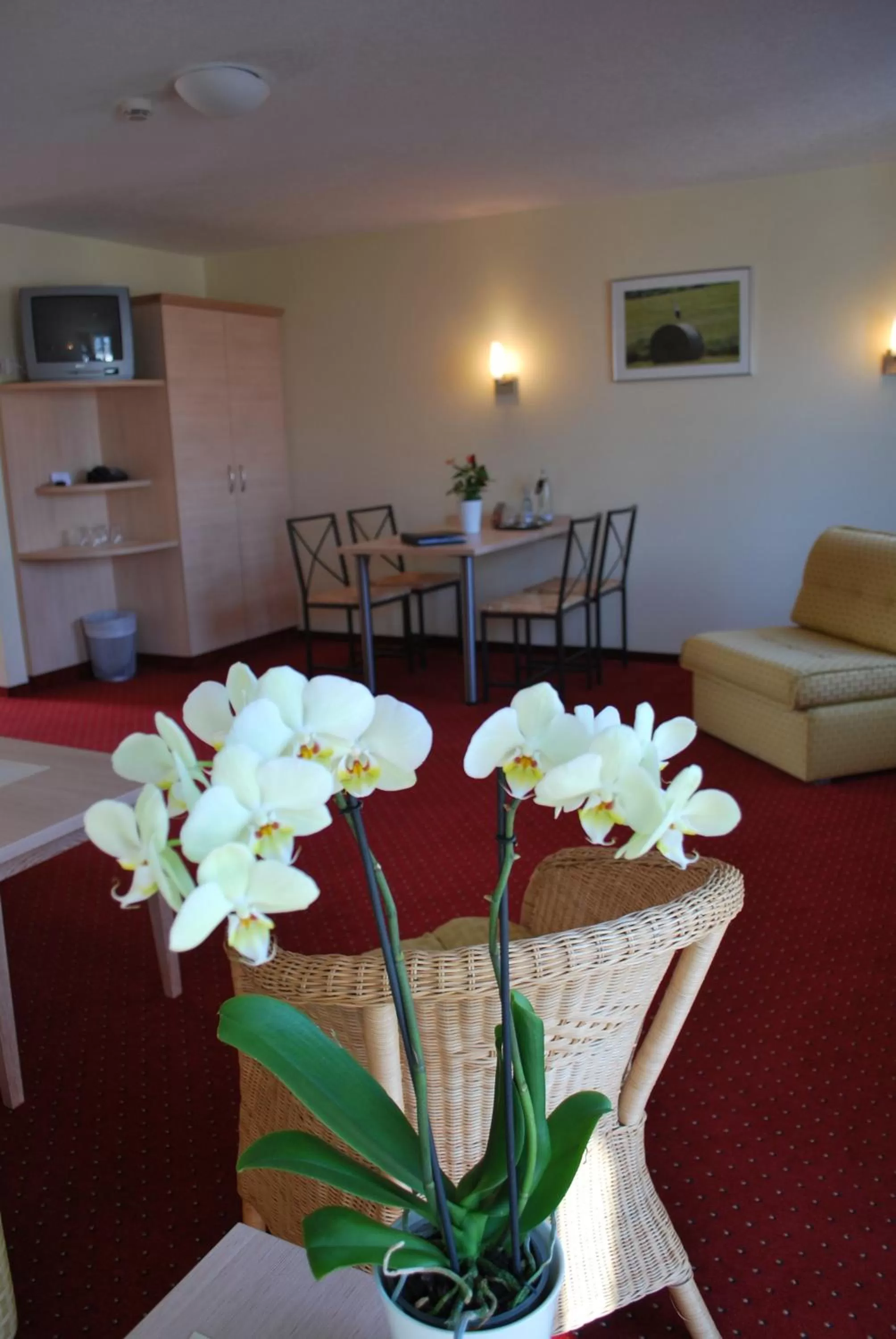 Photo of the whole room in Müritz-Strandhotel