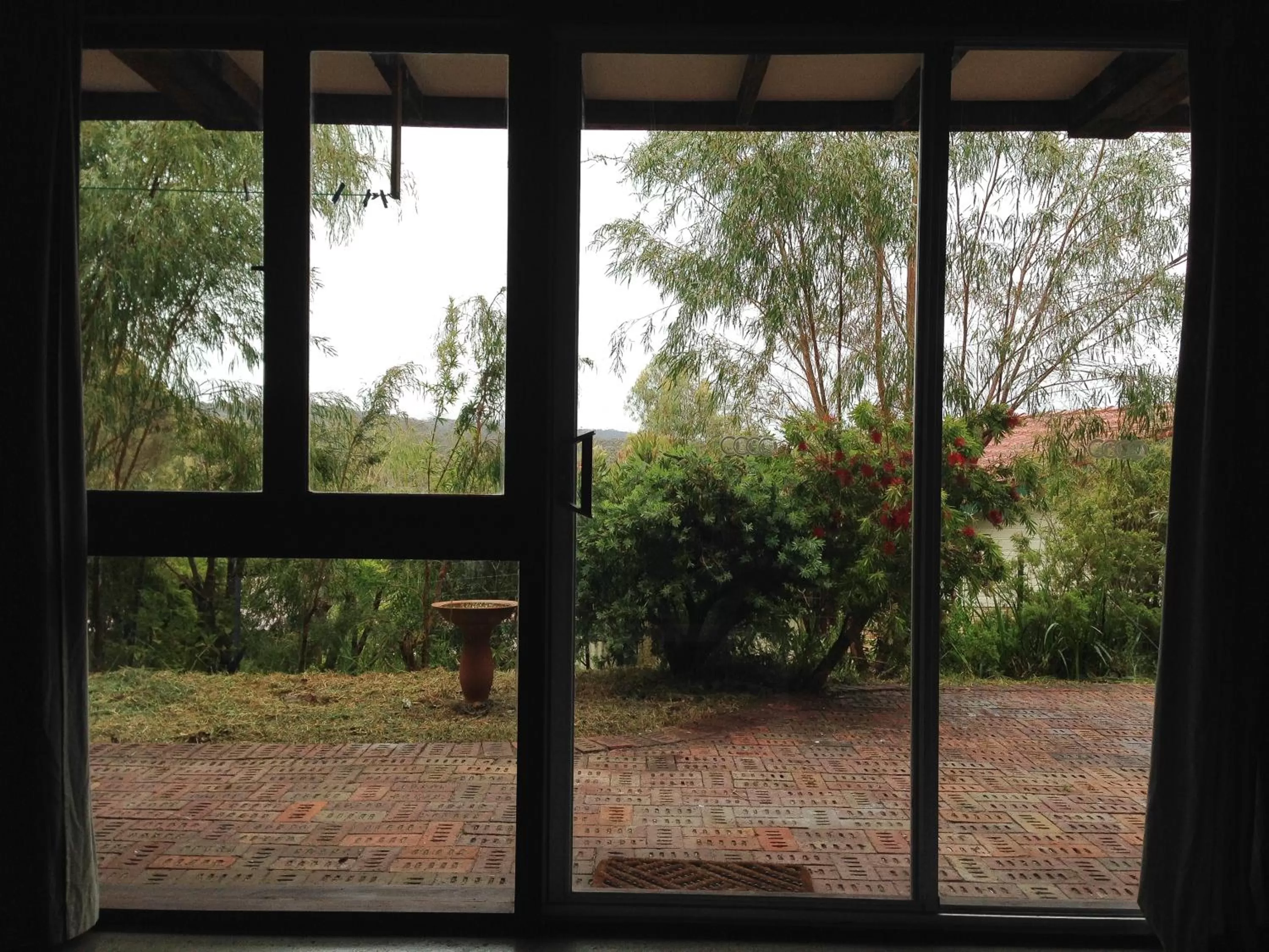 Garden in Base Guest House