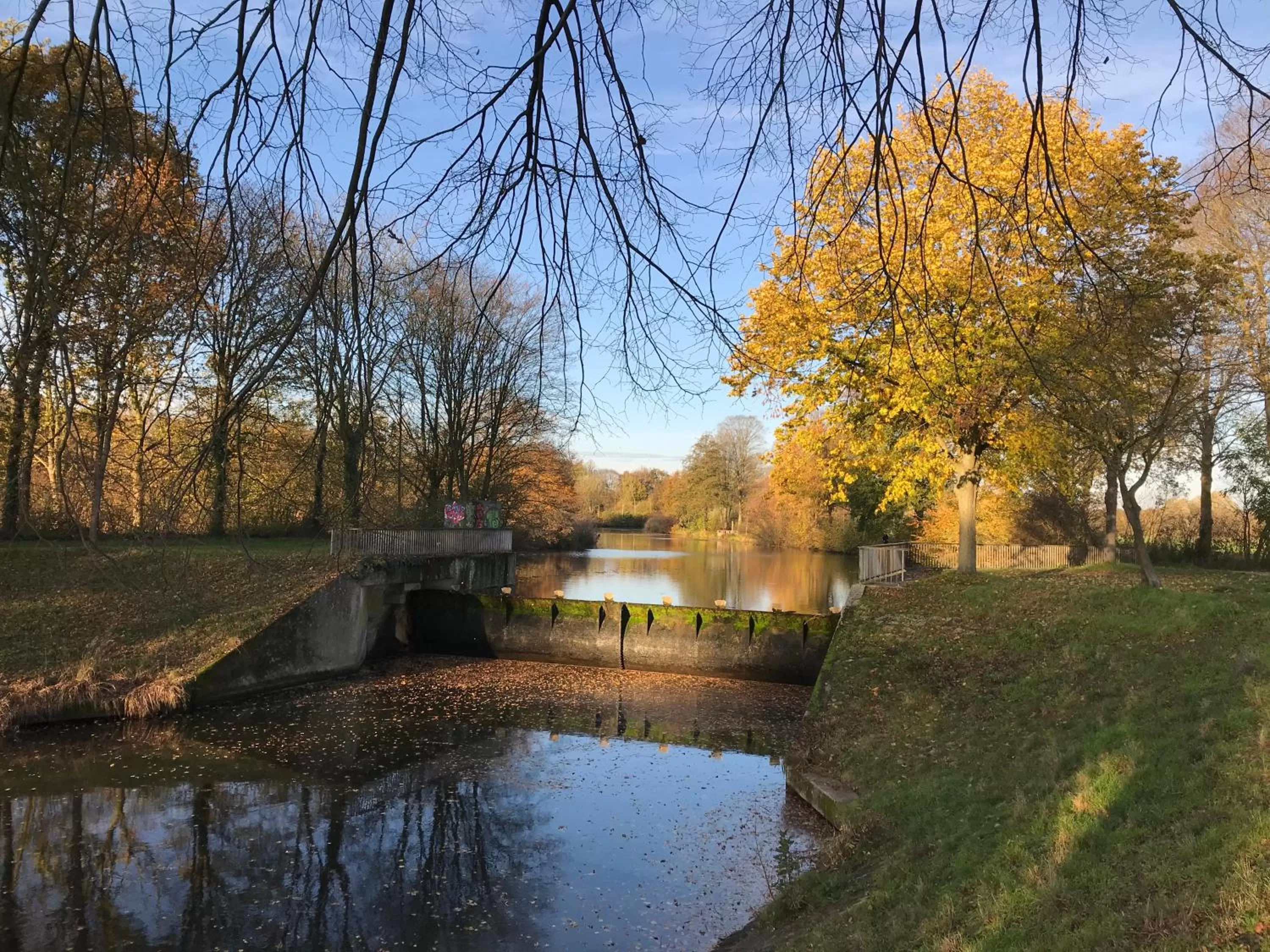 Hiking in Hotel No. 11
