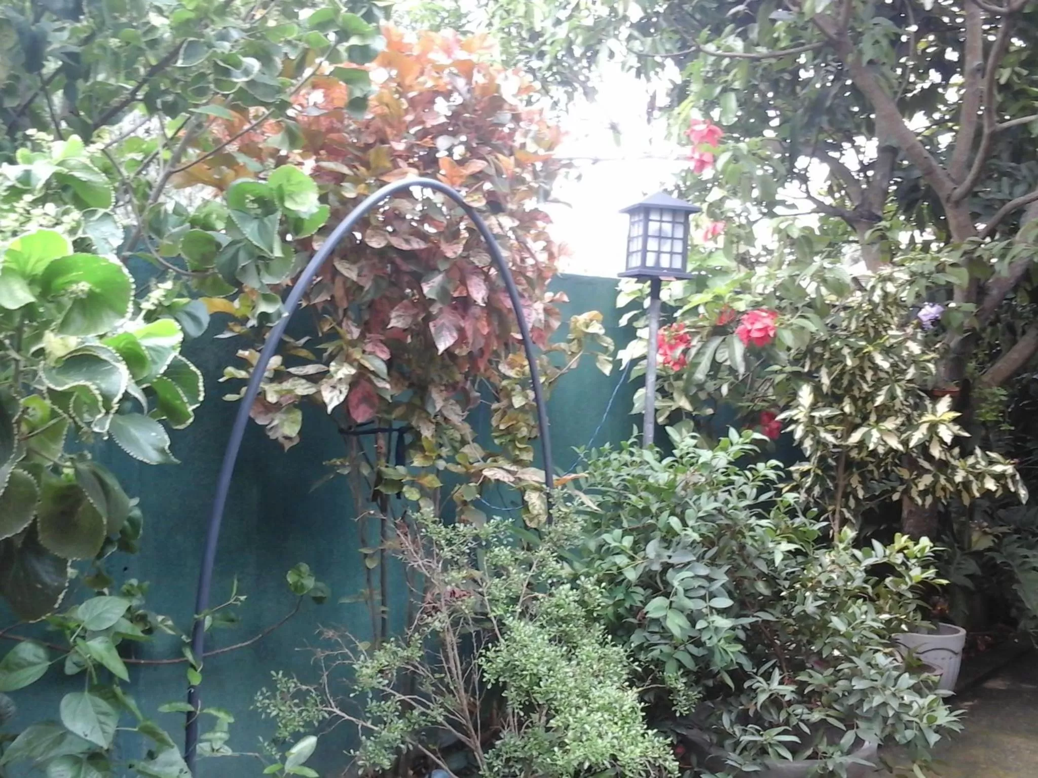 Garden view in House Of Esanya