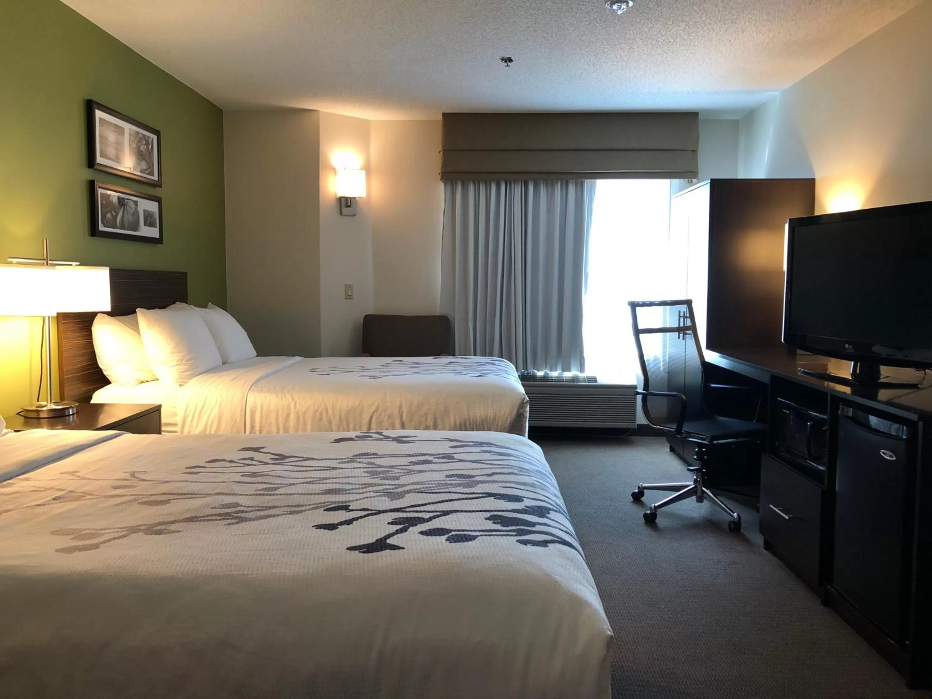 Photo of the whole room in Sleep Inn & Suites Roseburg North Near Medical Center