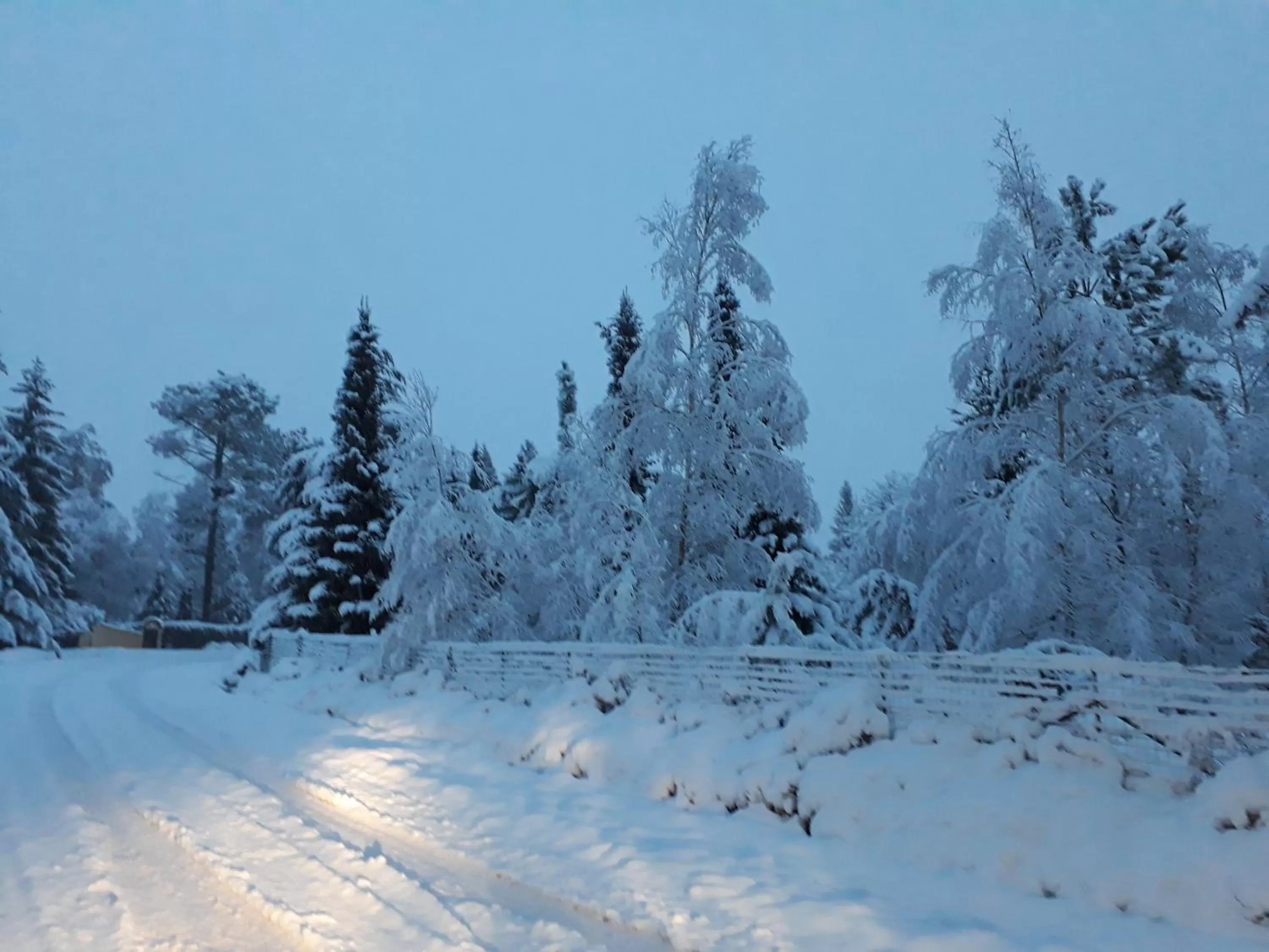 Garden, Winter in B&B La Forêt de Charmeuse