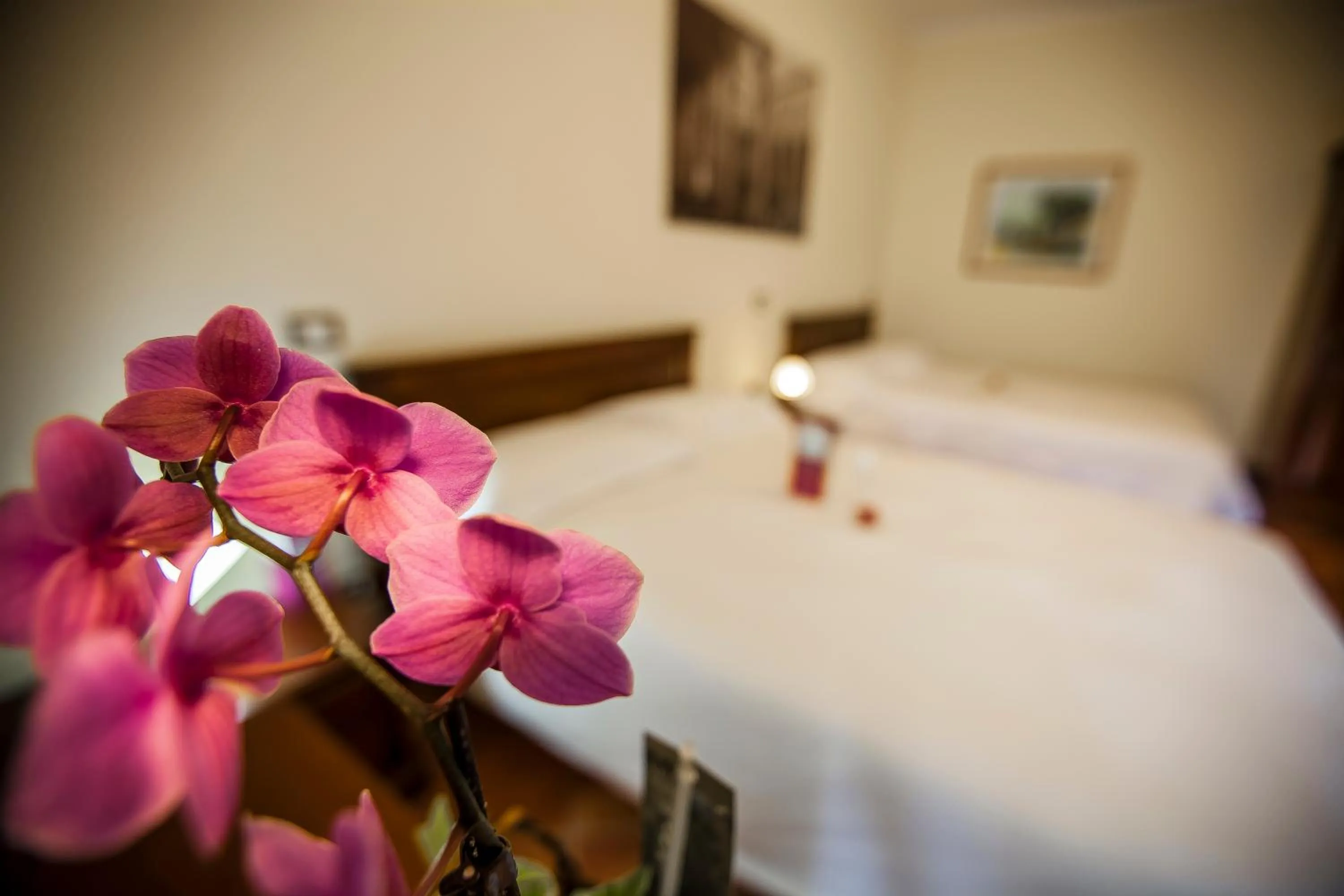 Quadruple Room in Hotel Residenza Petra