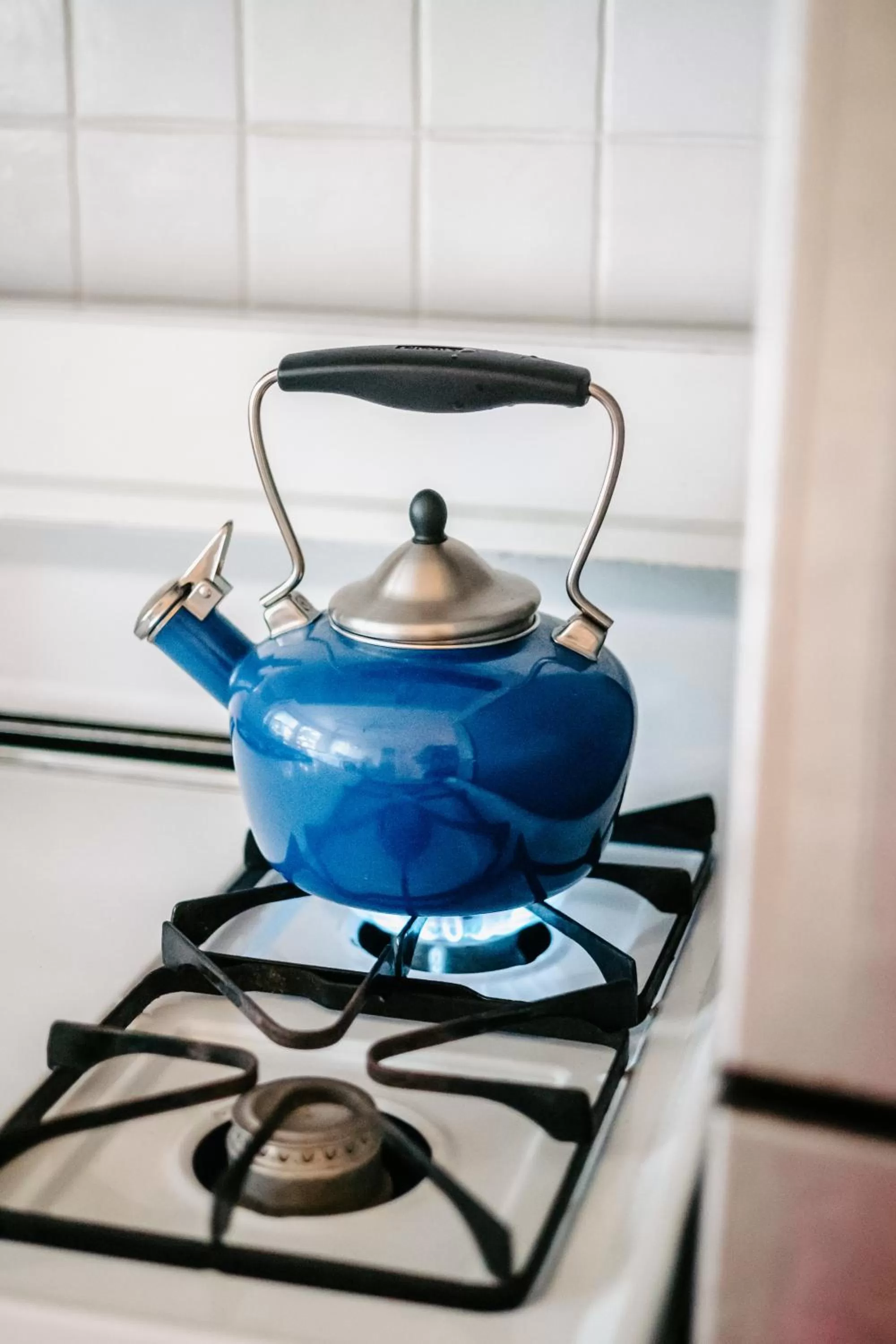 Kitchen or kitchenette in Marina Motel