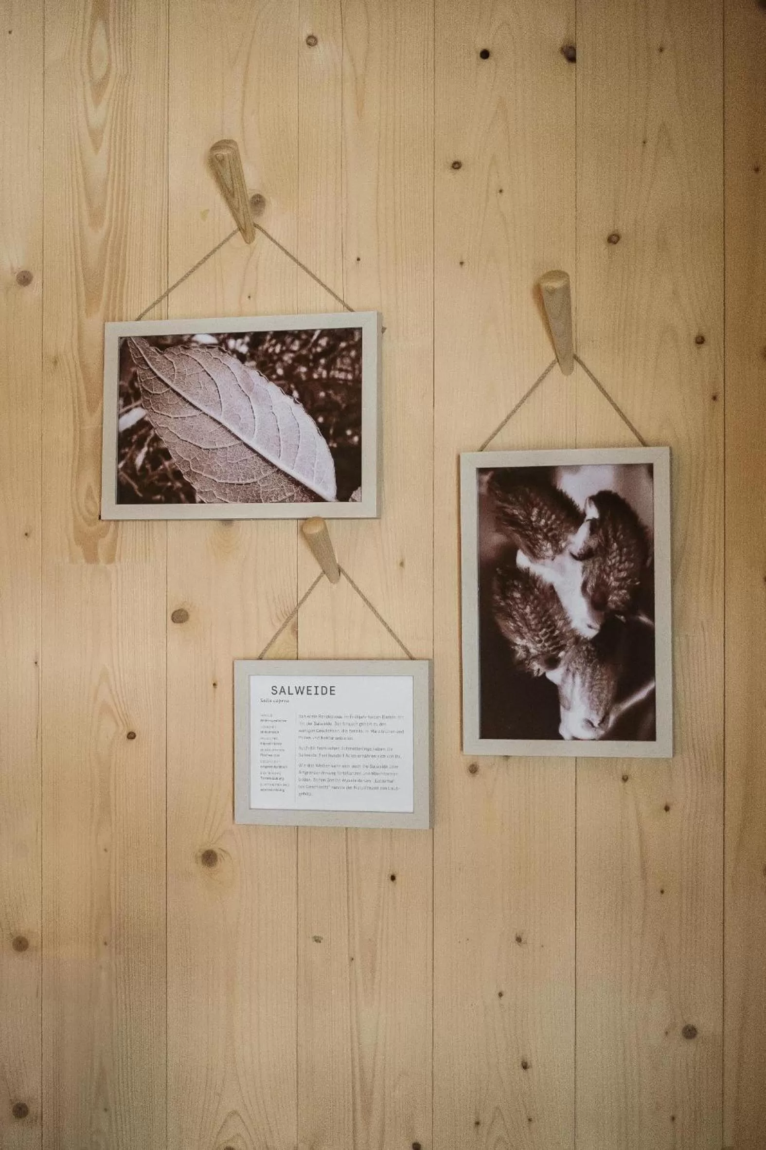 Decorative detail in Raphael Hotel Wälderhaus