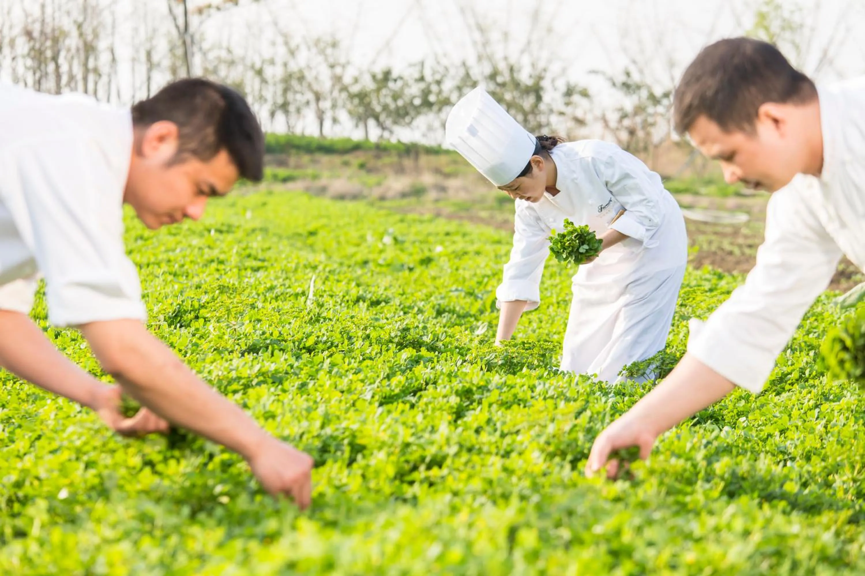 Other in Fairmont Yangcheng Lake