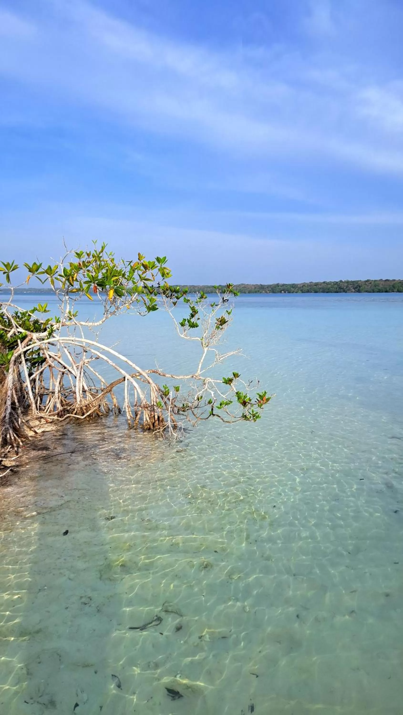 Activities in Cayuco Maya