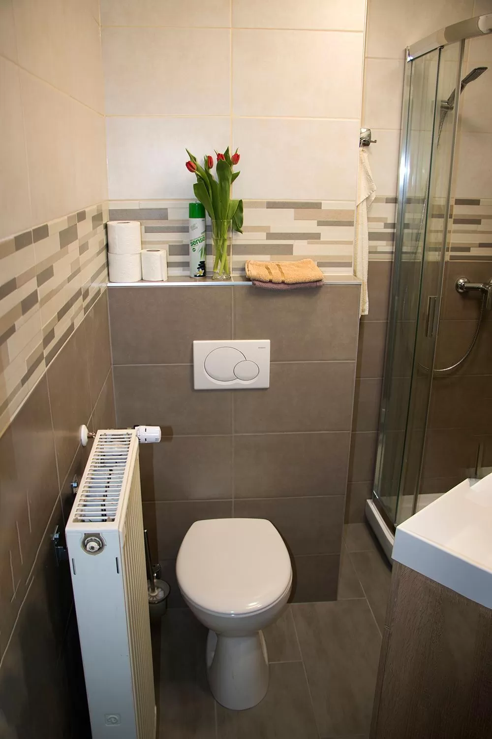 Toilet in Várfal Wellness Panzió