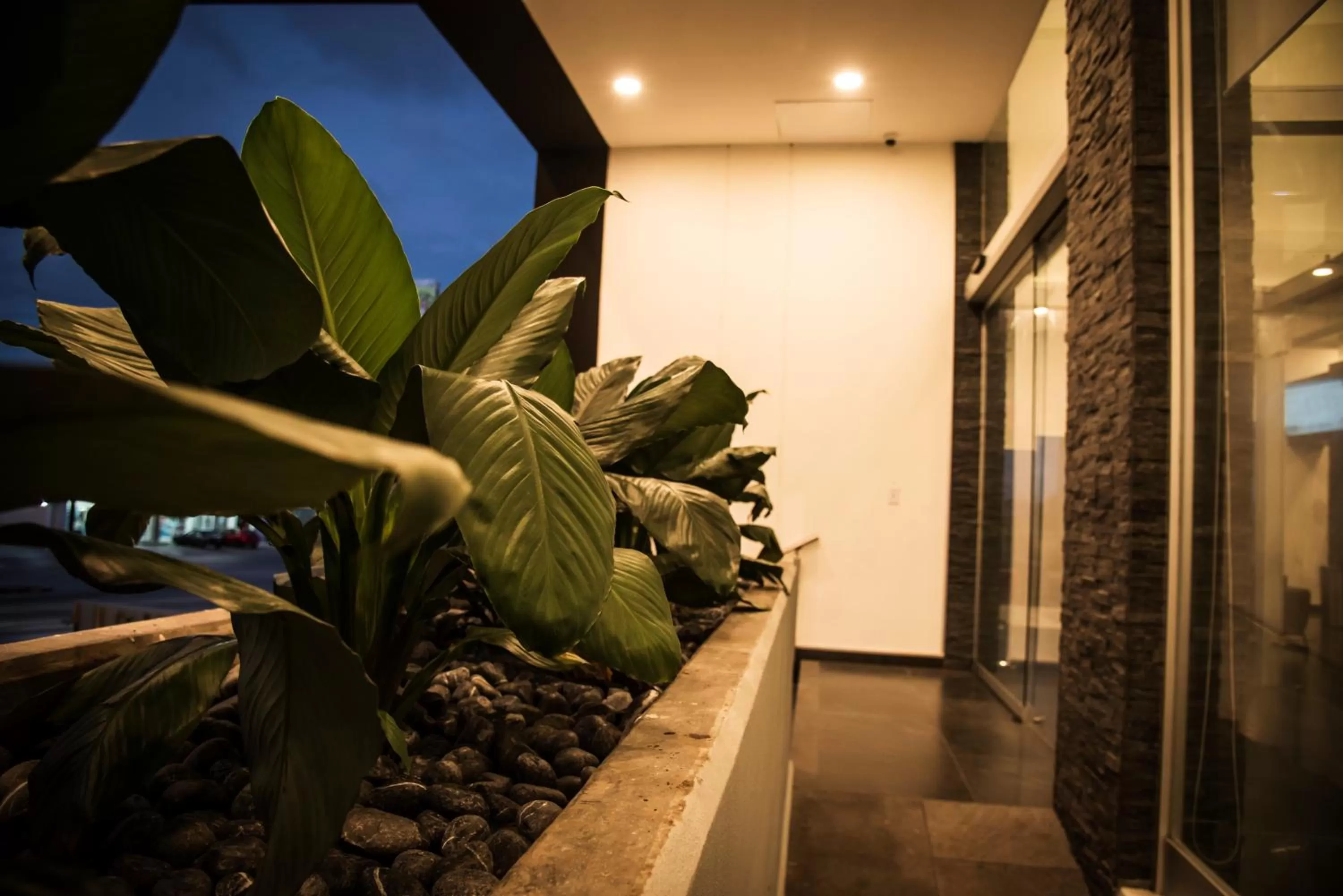 Property building in Lithio Hotel