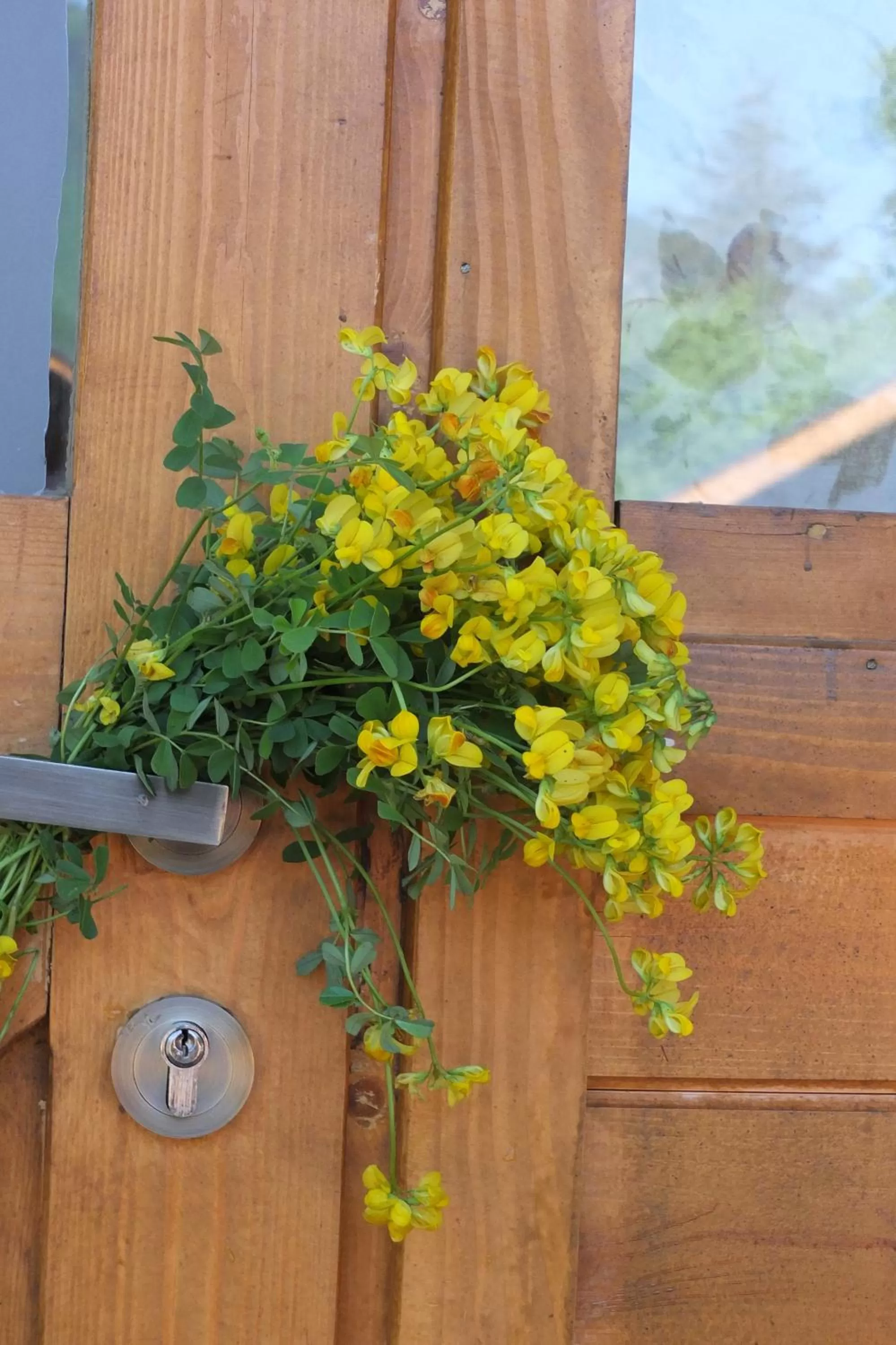 Day in Mountain Cabins