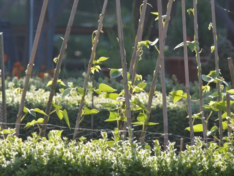 View (from property/room), Other Animals in Cotenham Barn