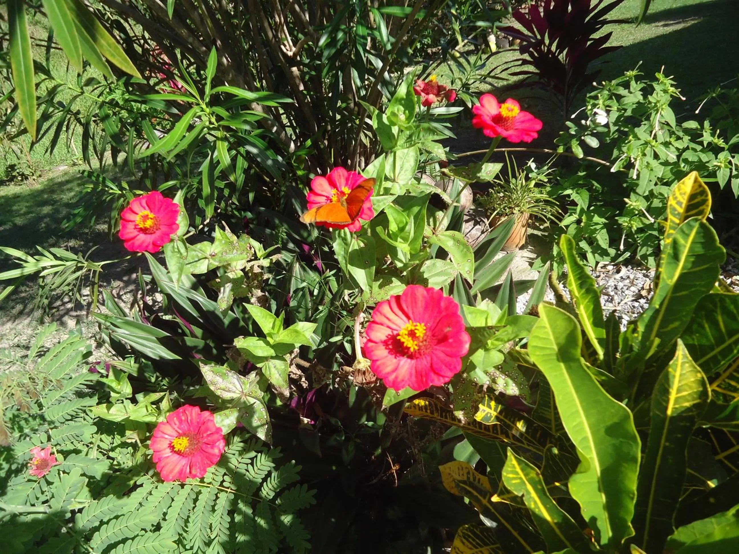 Spring in Pousada Aba da Serra