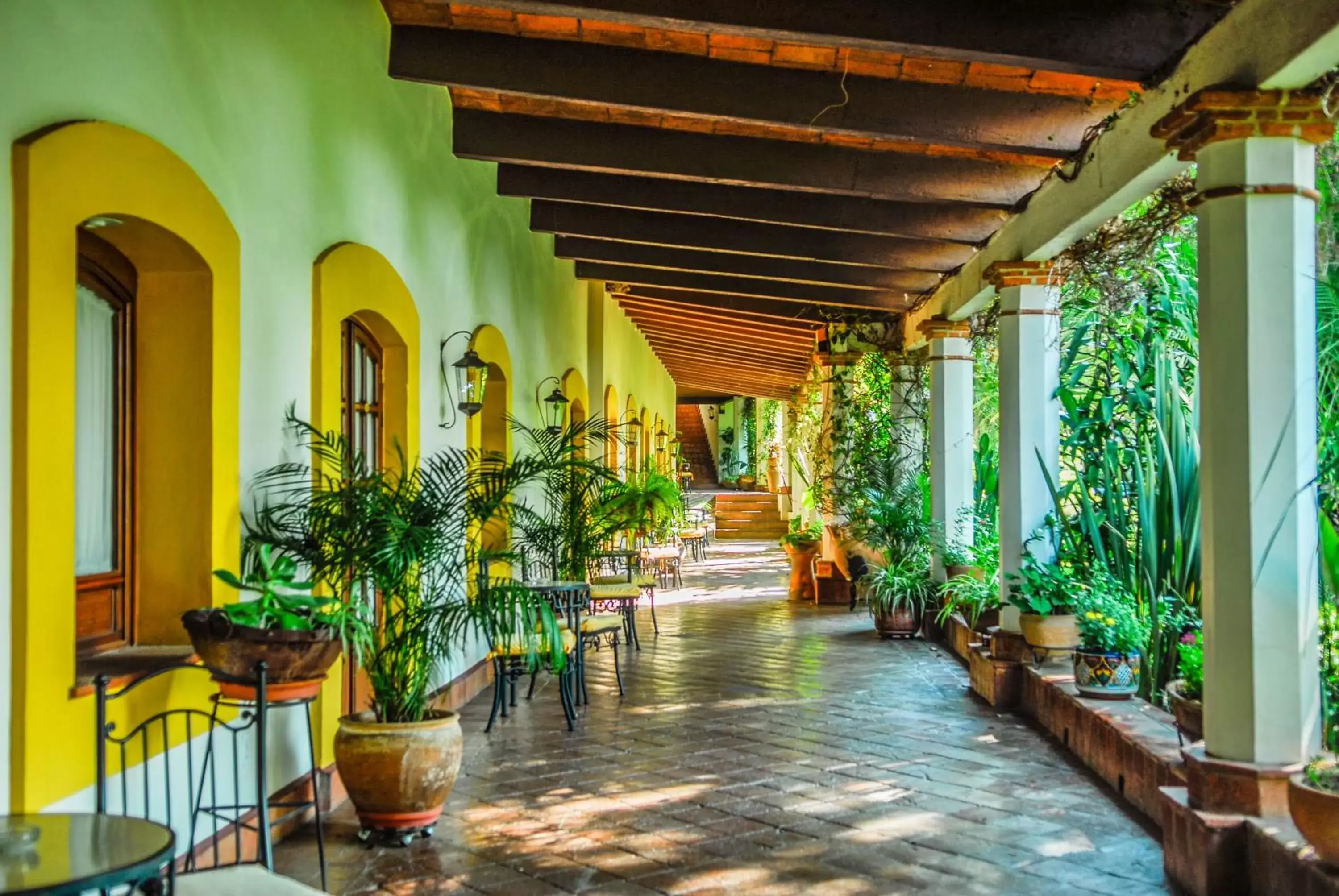 Hotel Hacienda Los Laureles Hotel Hacienda Los Laureles