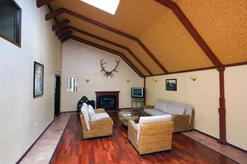 TV and multimedia in Alpen Ville