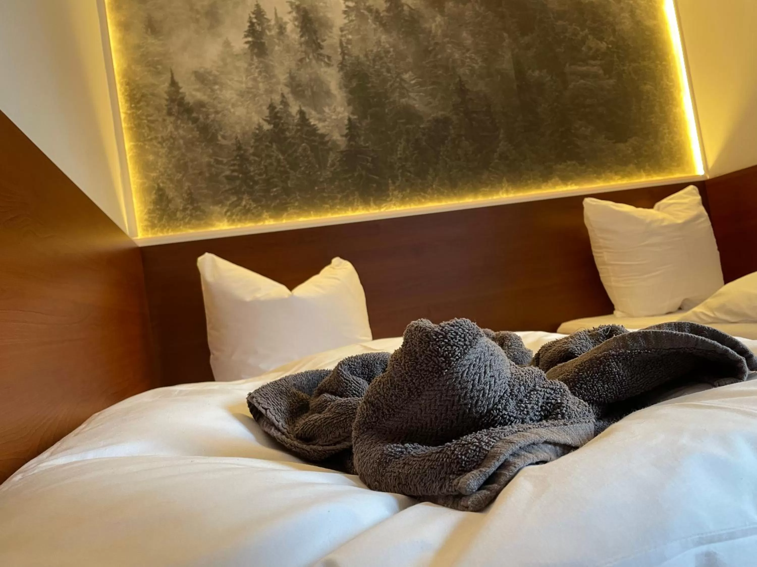 Bed in Safir przy samym WYCIĄGU