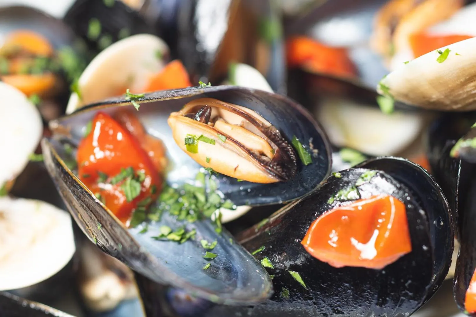 Dinner in Club Azzurro Hotel & Resort