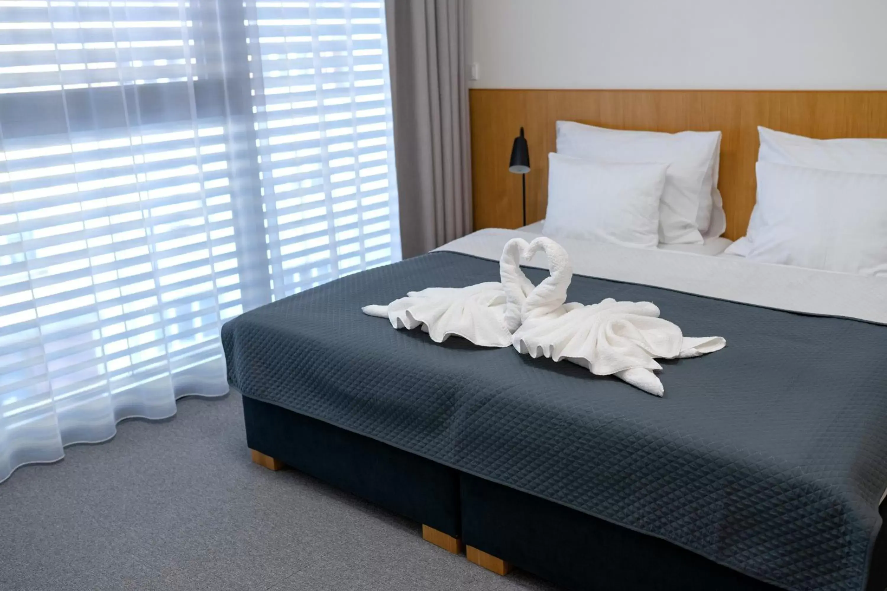 Deluxe Double Room in Hotel Smetanova Deluxe Double Room in Hotel Smetanova