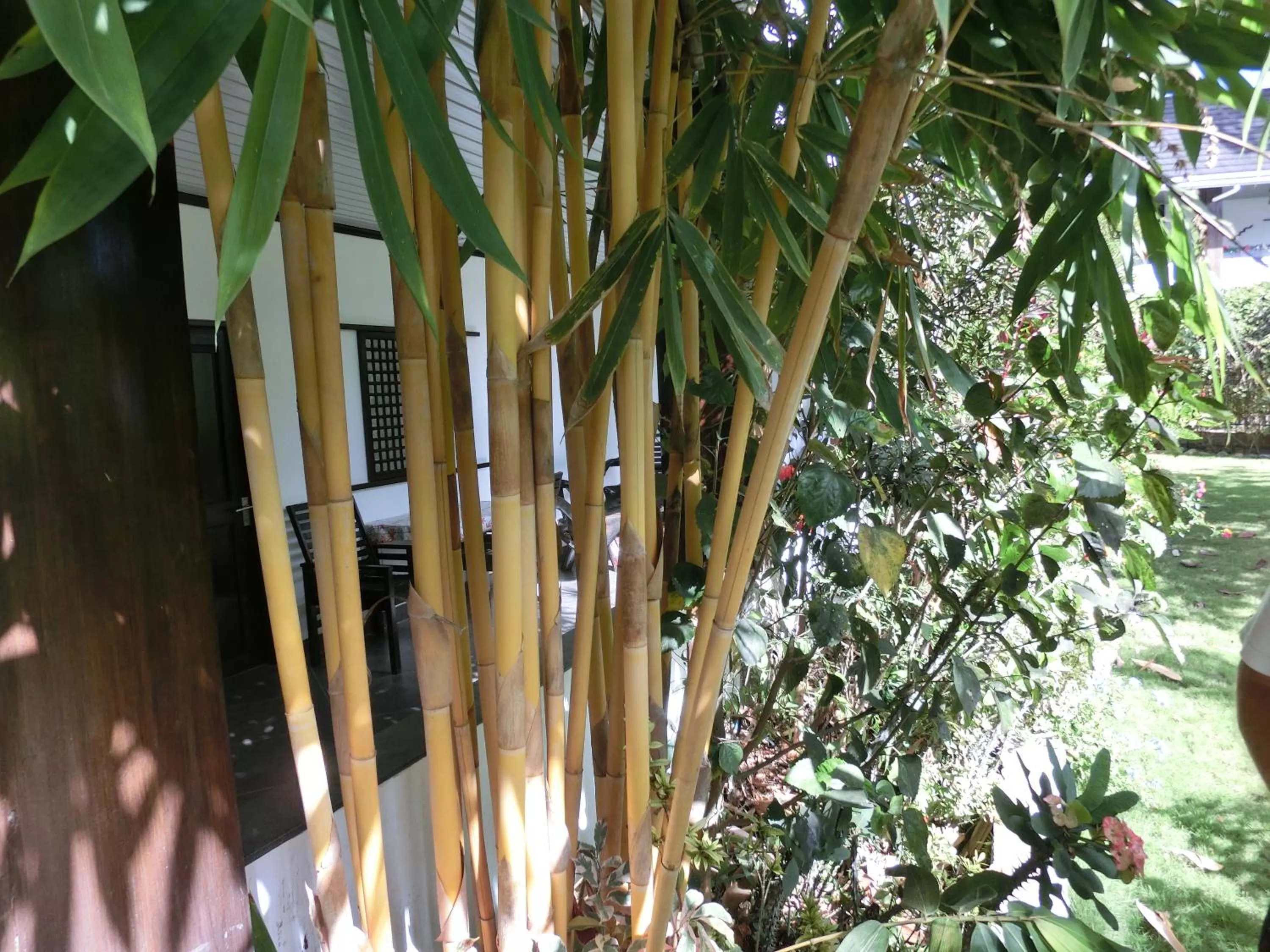 Property building in Balay Tuko Garden Inn