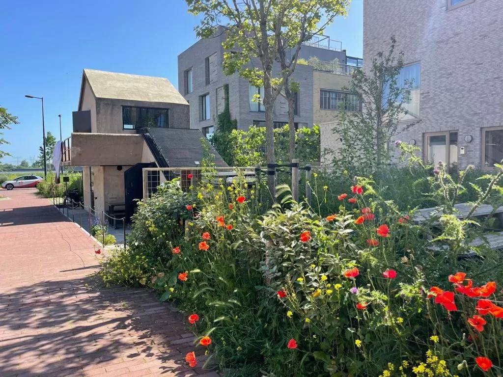 Property Building in vondice hotel