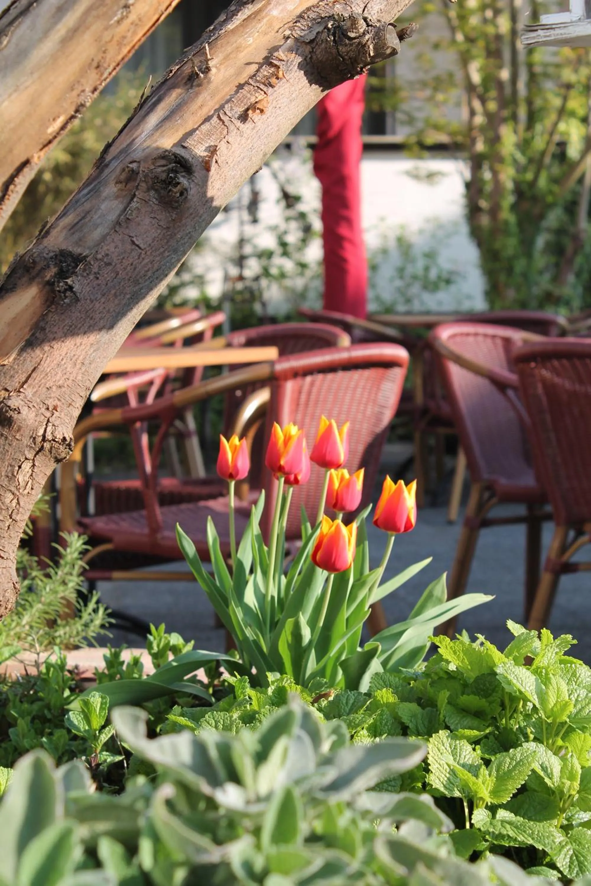 Patio in Hotel Kölner Hof Refrath