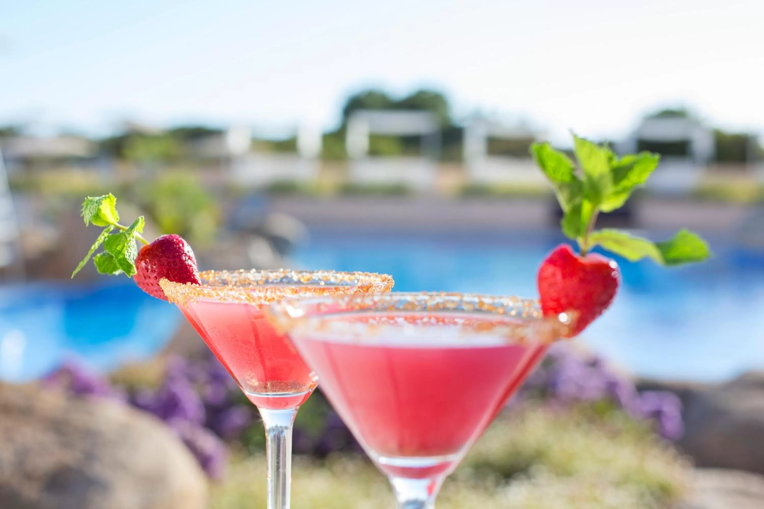 Lounge or bar in Hipotels Playa La Barrosa - Adults Only