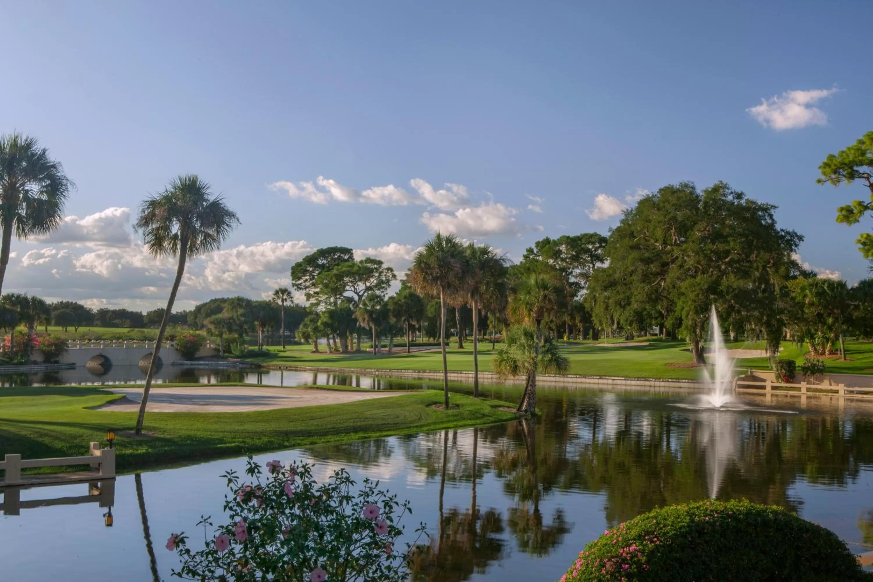 Natural landscape in Mission Resort and Club