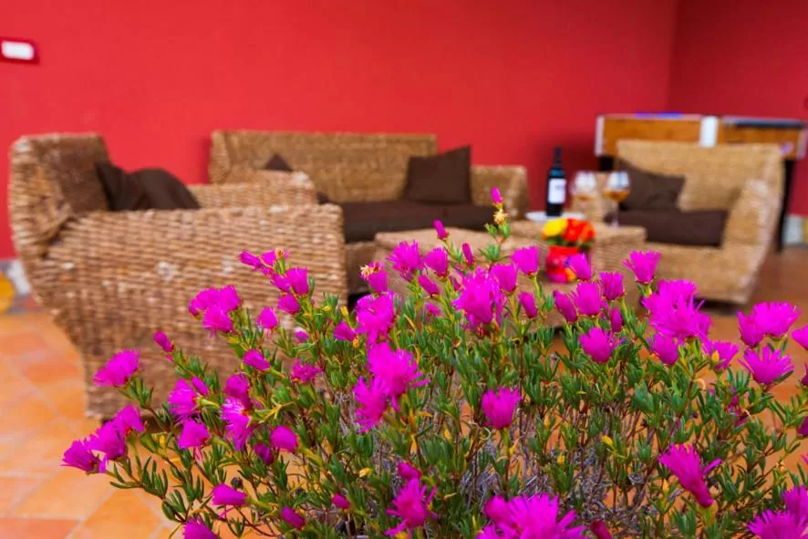 Decorative detail in Profumo di Zagara