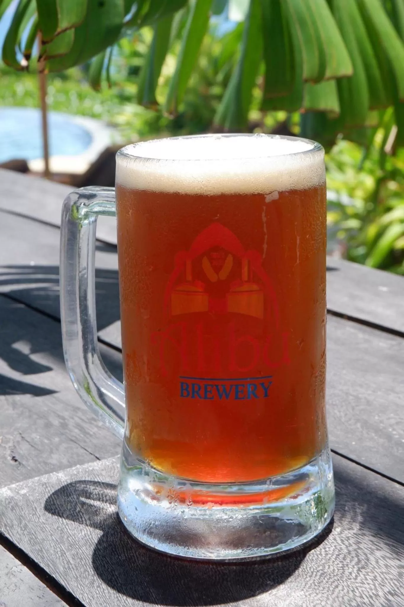 Lounge or bar in Alibu Resort Nha Trang