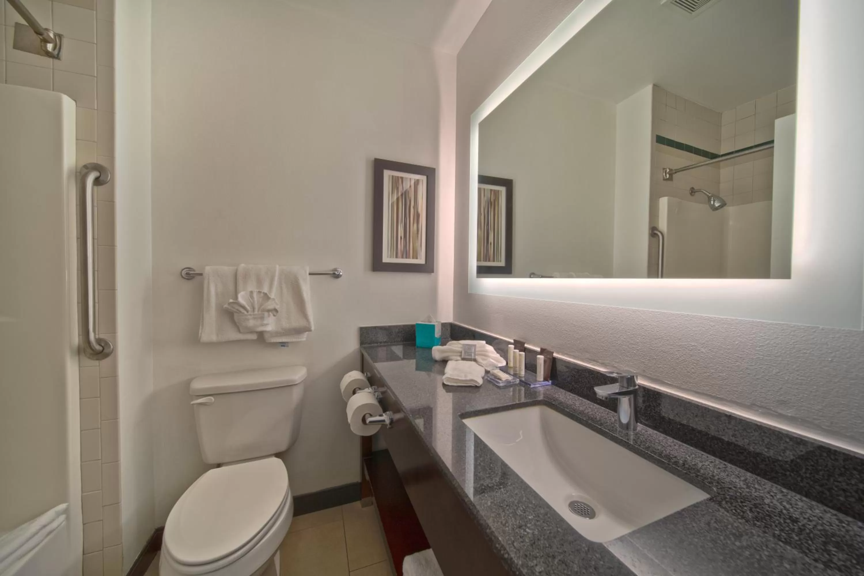 Bathroom in Wingate by Wyndham and Williamson Conference Center