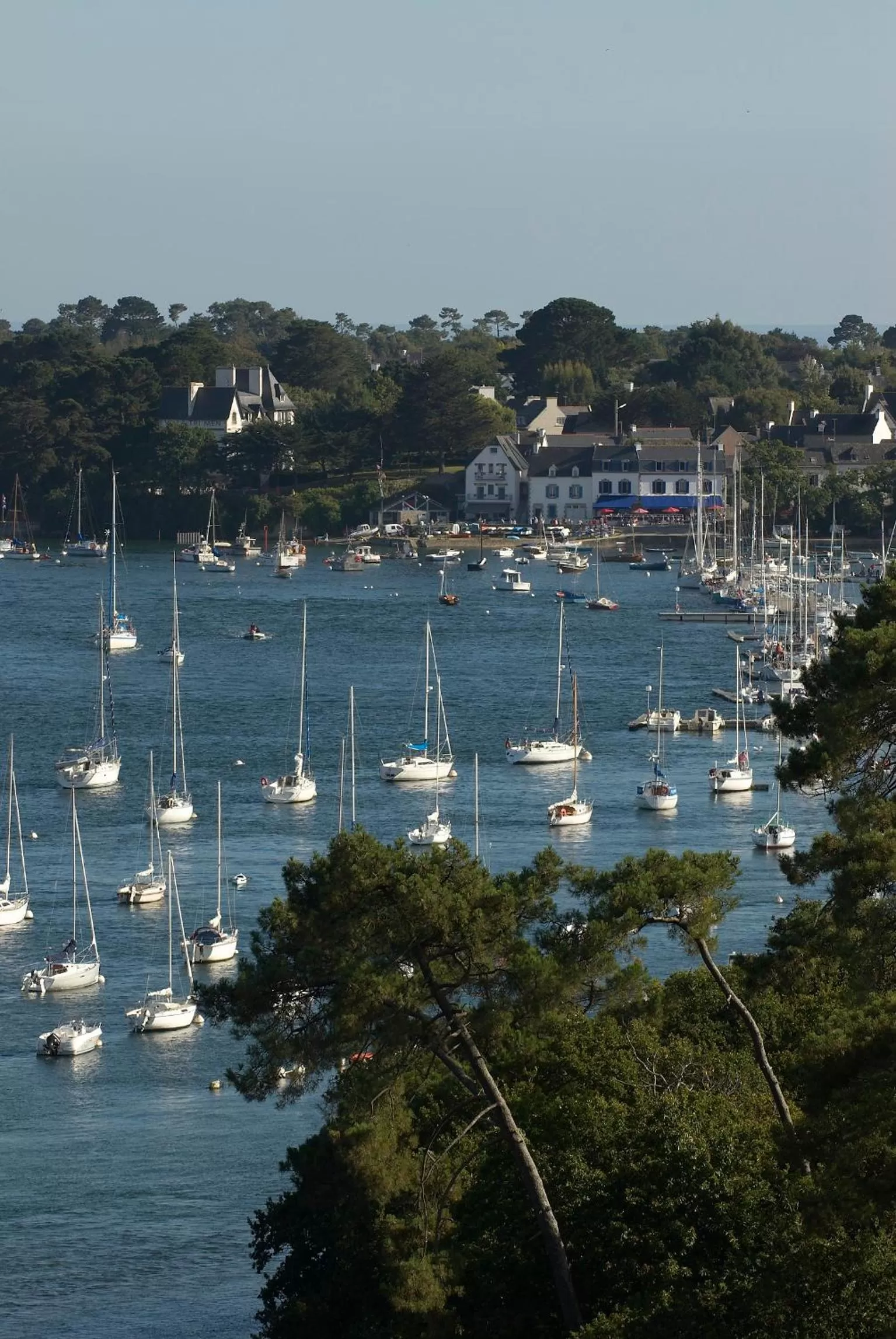Nearby landmark in Hotel Du Bac
