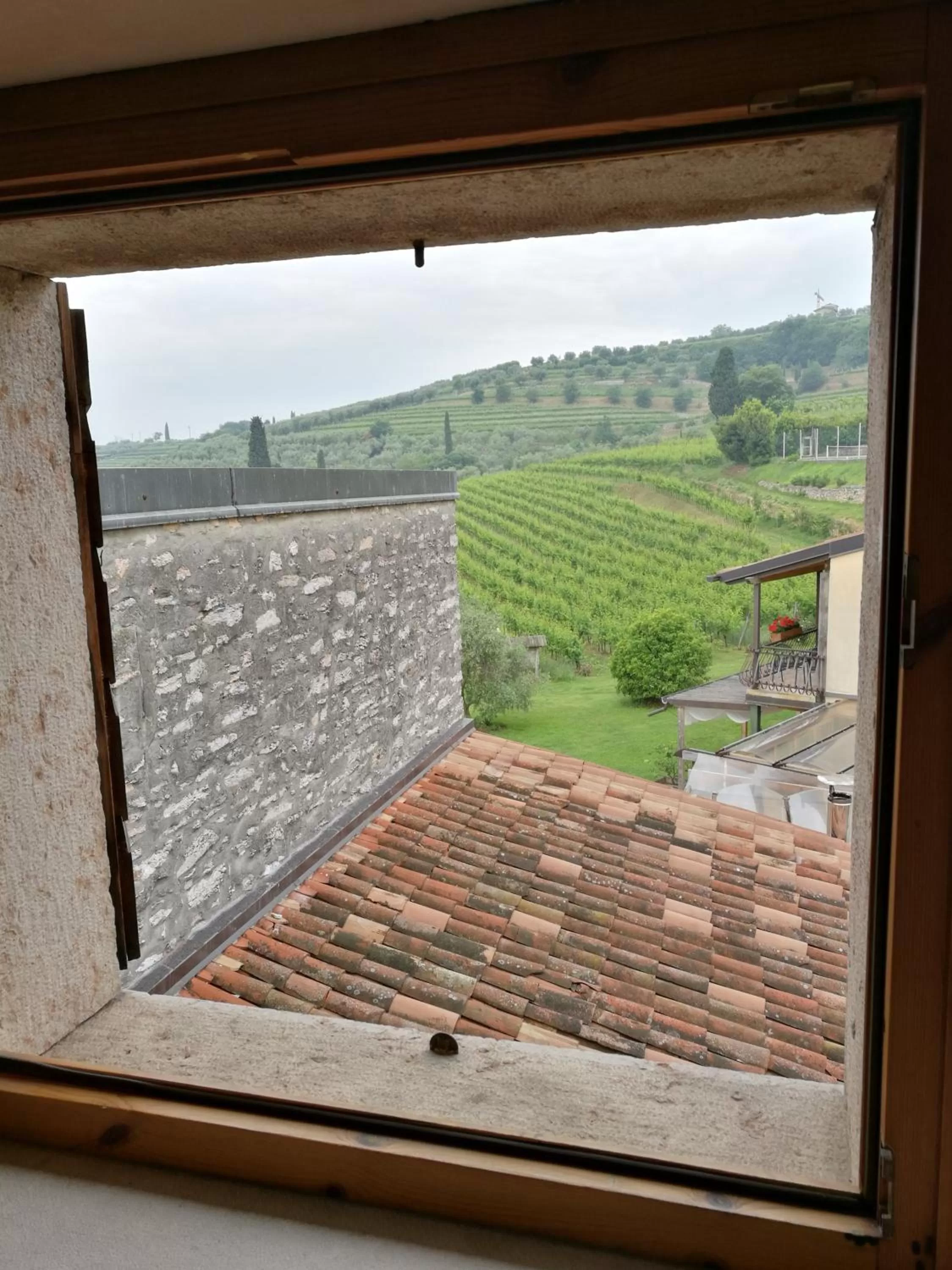 Garden view in Costa degli Ulivi