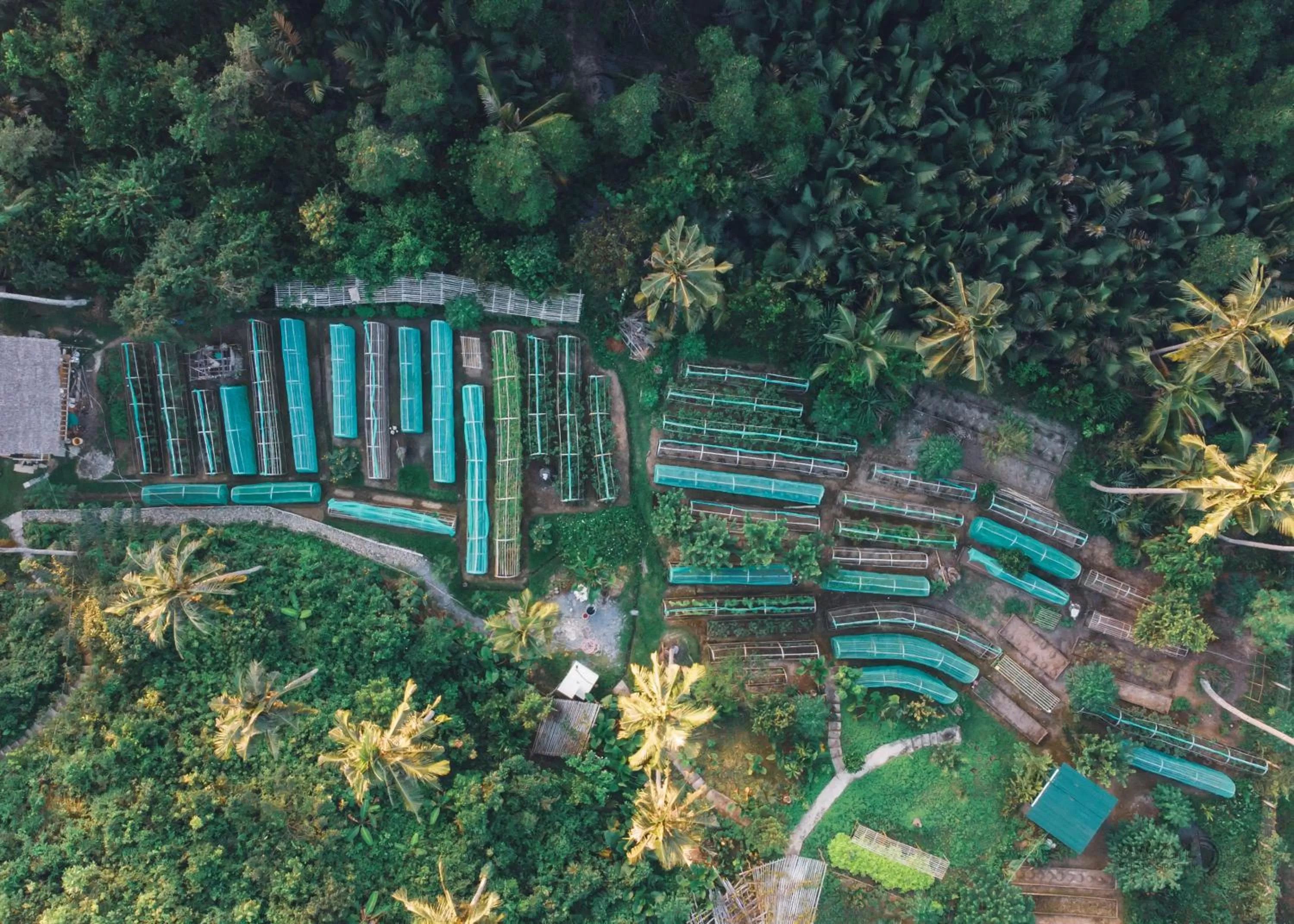 Garden in Ocean Green Eco Lodge