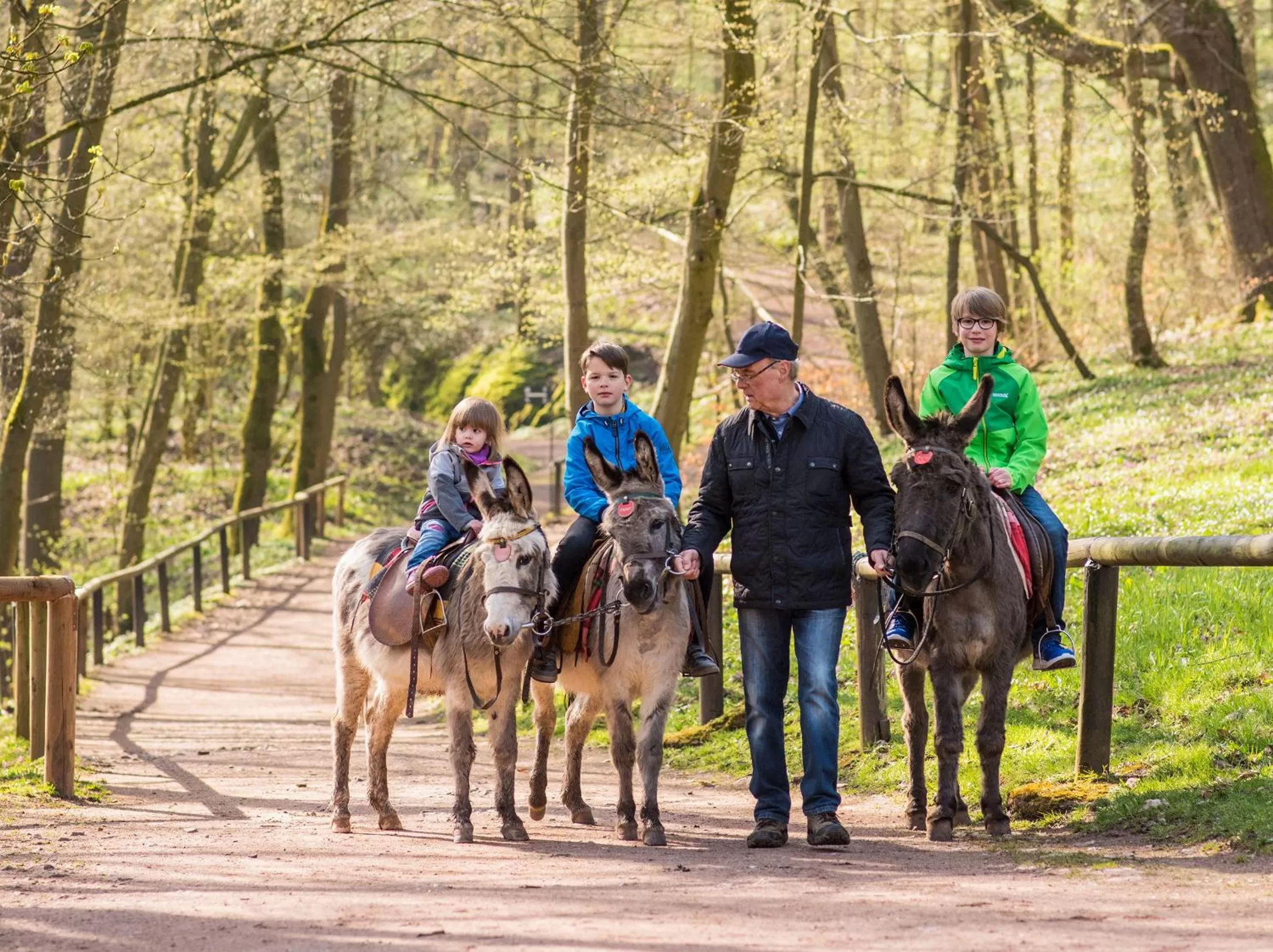Spring in Suites MITTE - Aparthotel