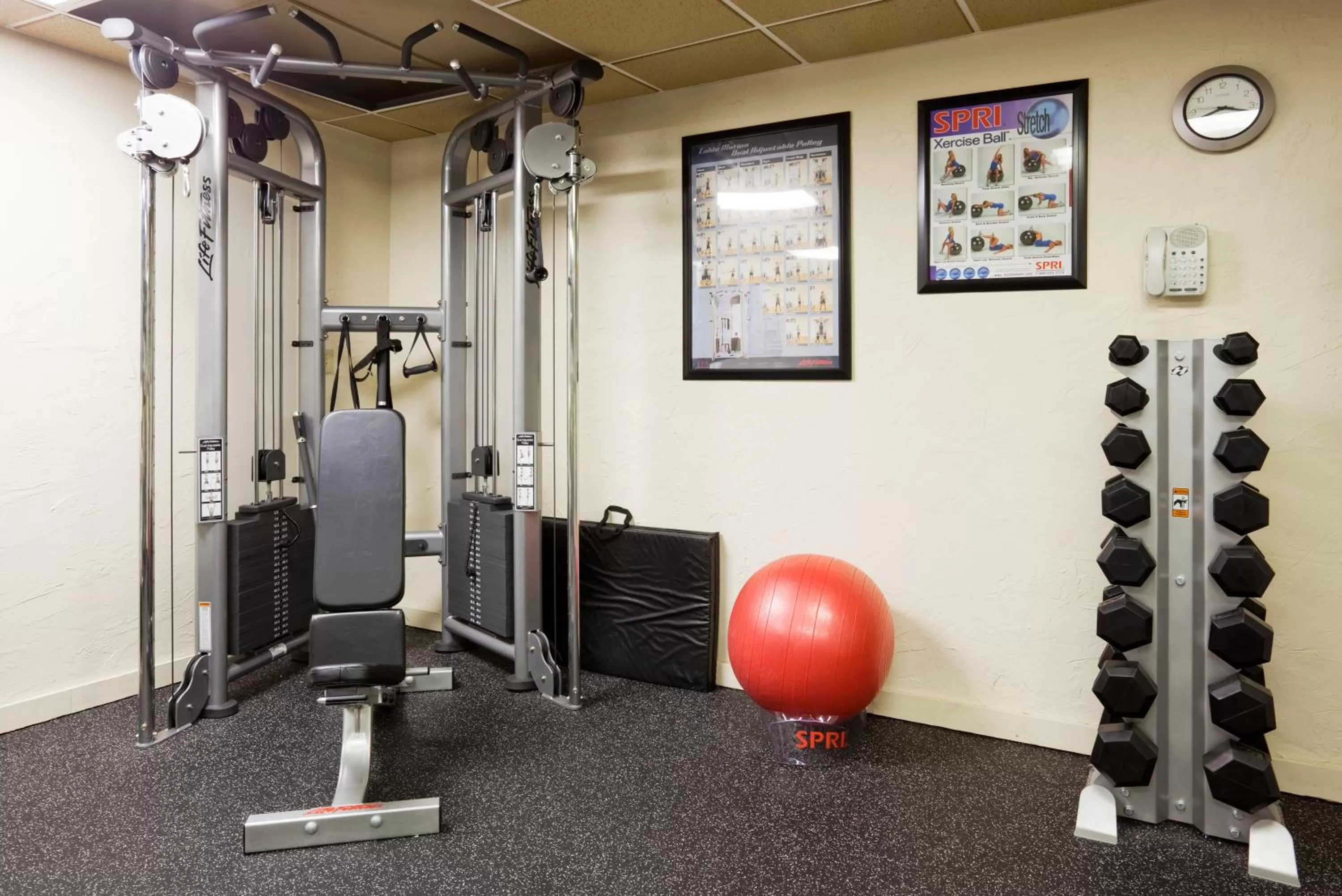 Fitness centre/facilities in Holiday Inn Alexandria by IHG