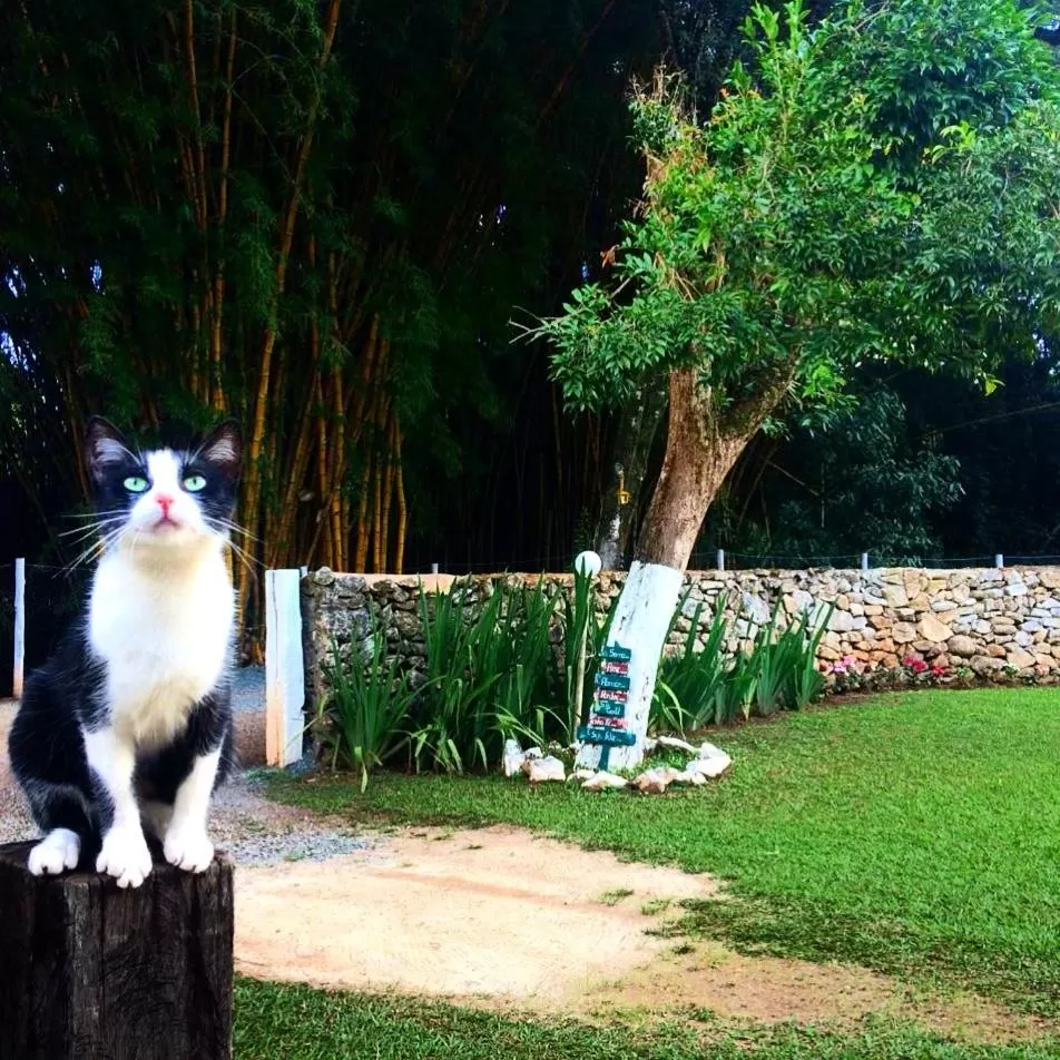 Property building in Pousada Cantinho do Mundo