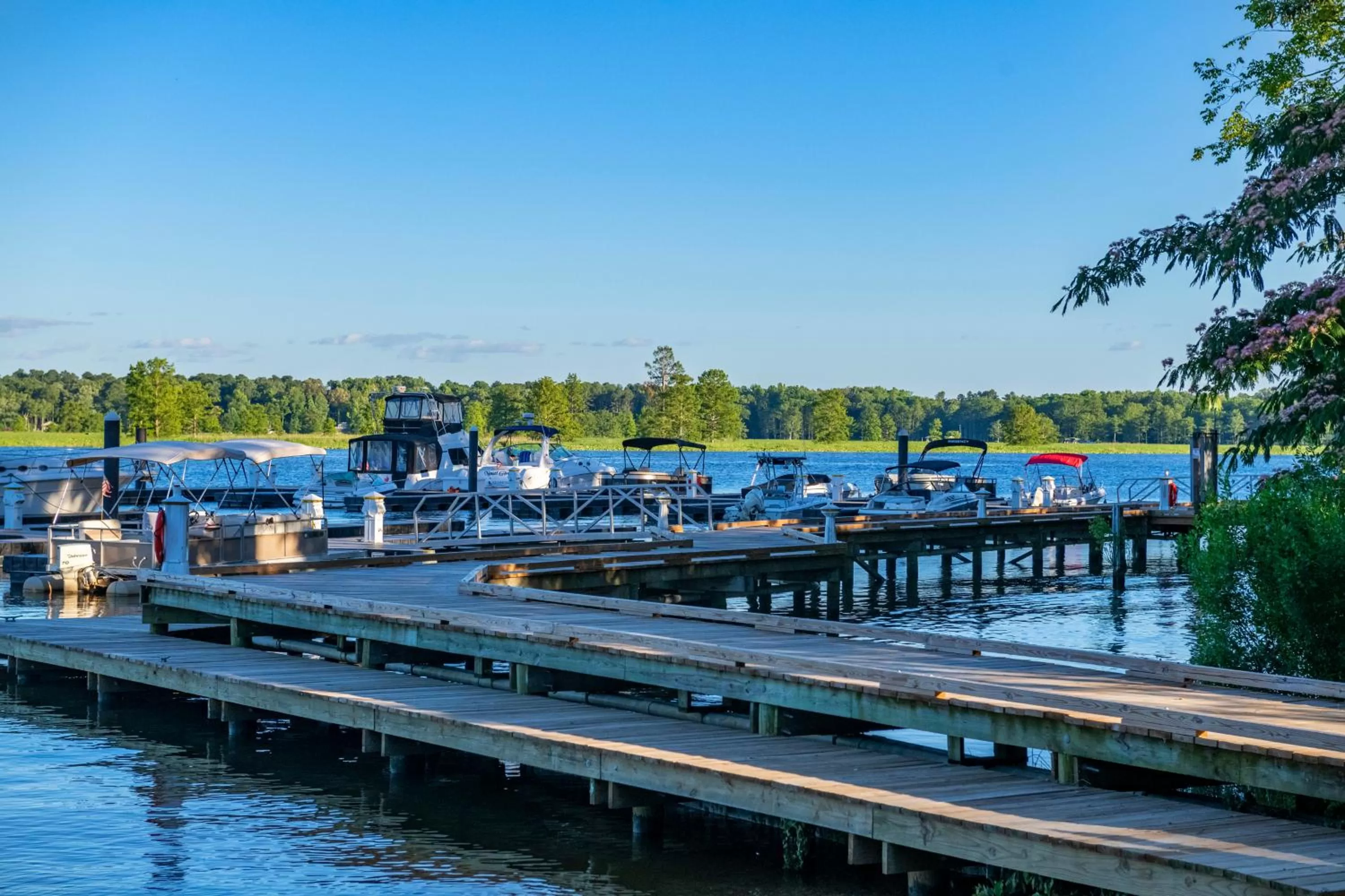 View (from property/room) in Rivers Rest Resort