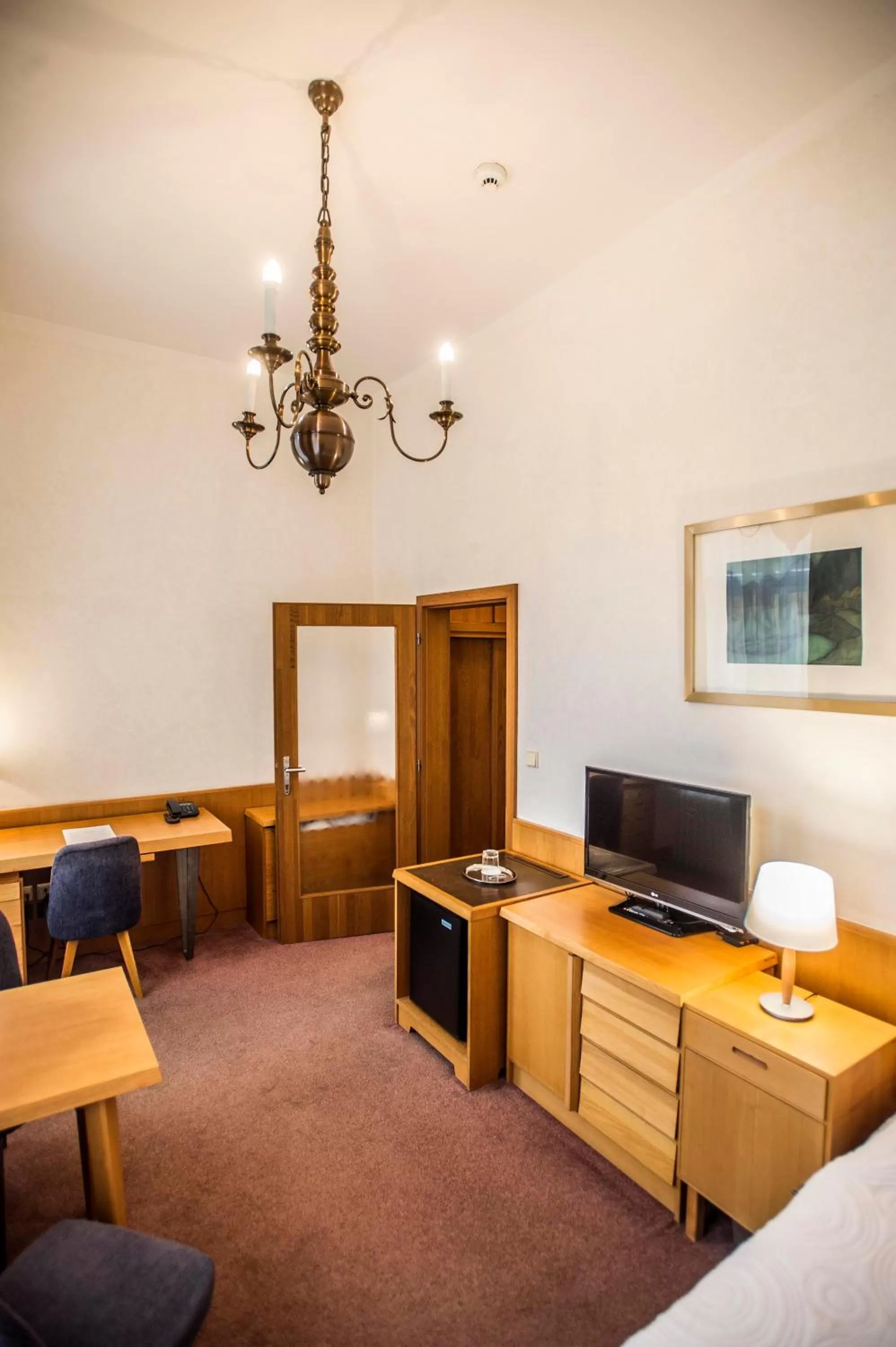 TV and multimedia, TV/Entertainment Center in Opitzův dům