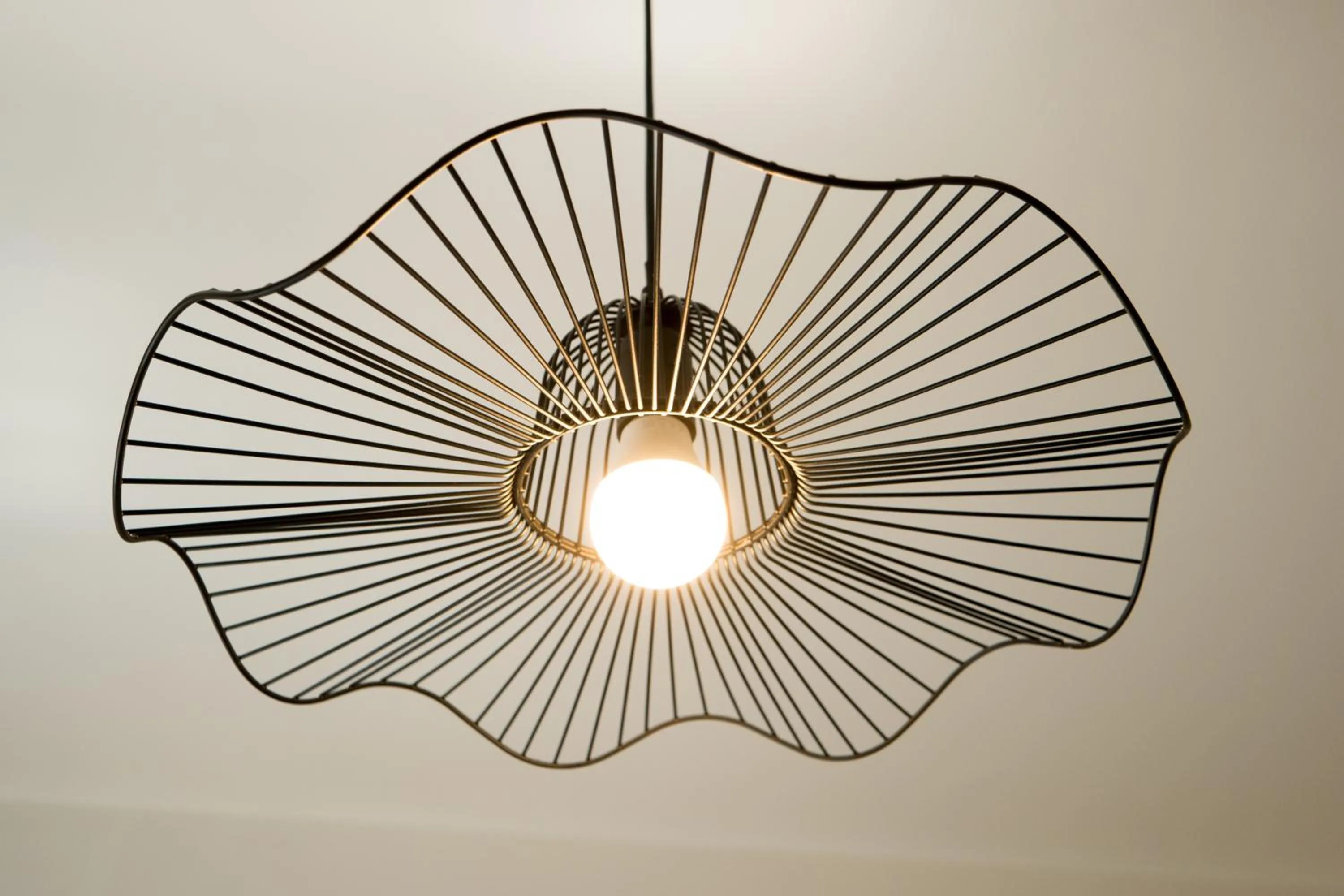 Activities in Guest House Train Station Venice - Atika & Atif