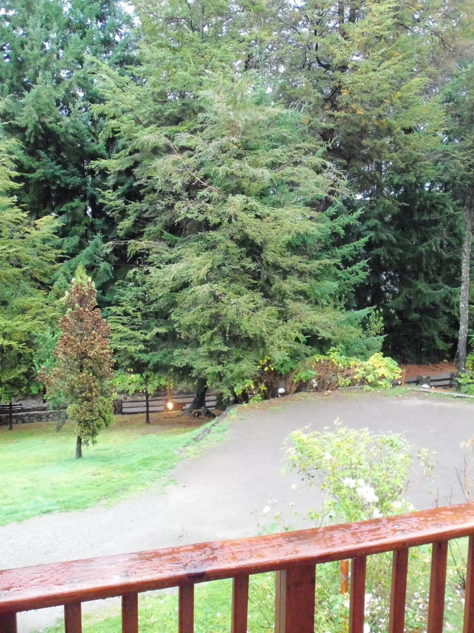 Spring in Hosteria Lekun Lekun