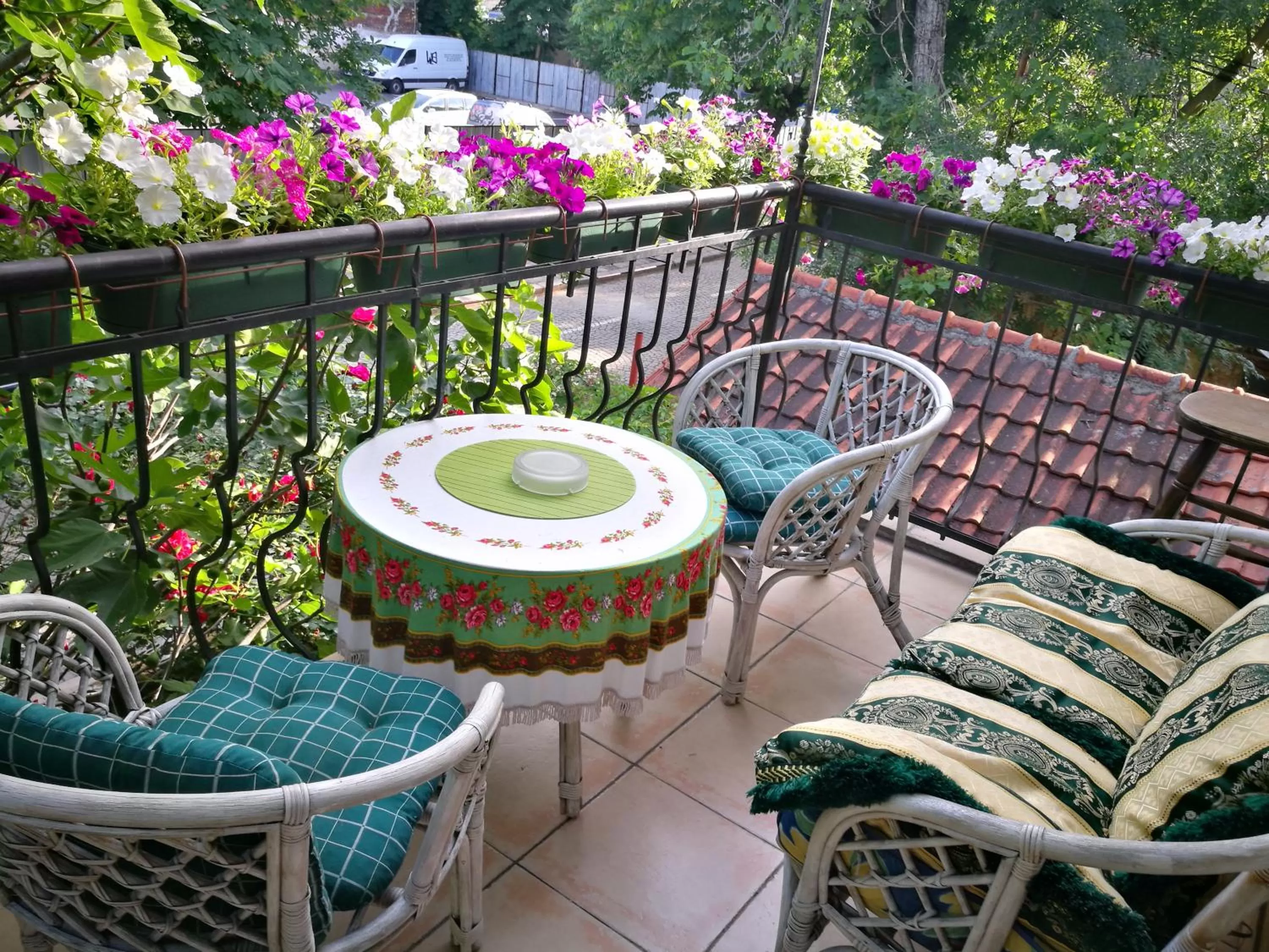 Balcony/Terrace in Hotel Paradise