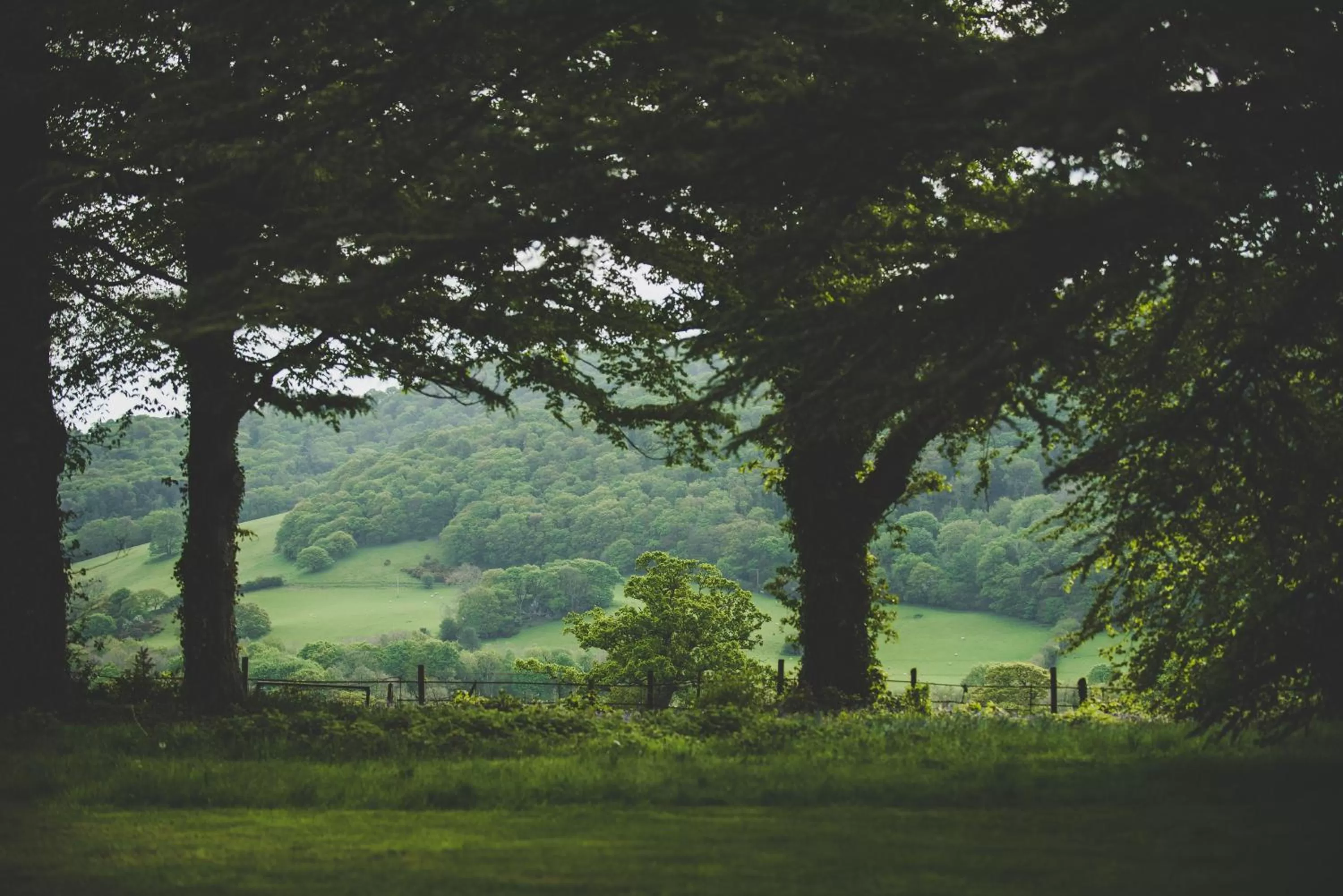 Natural landscape in Caer Rhun Hall Hotel