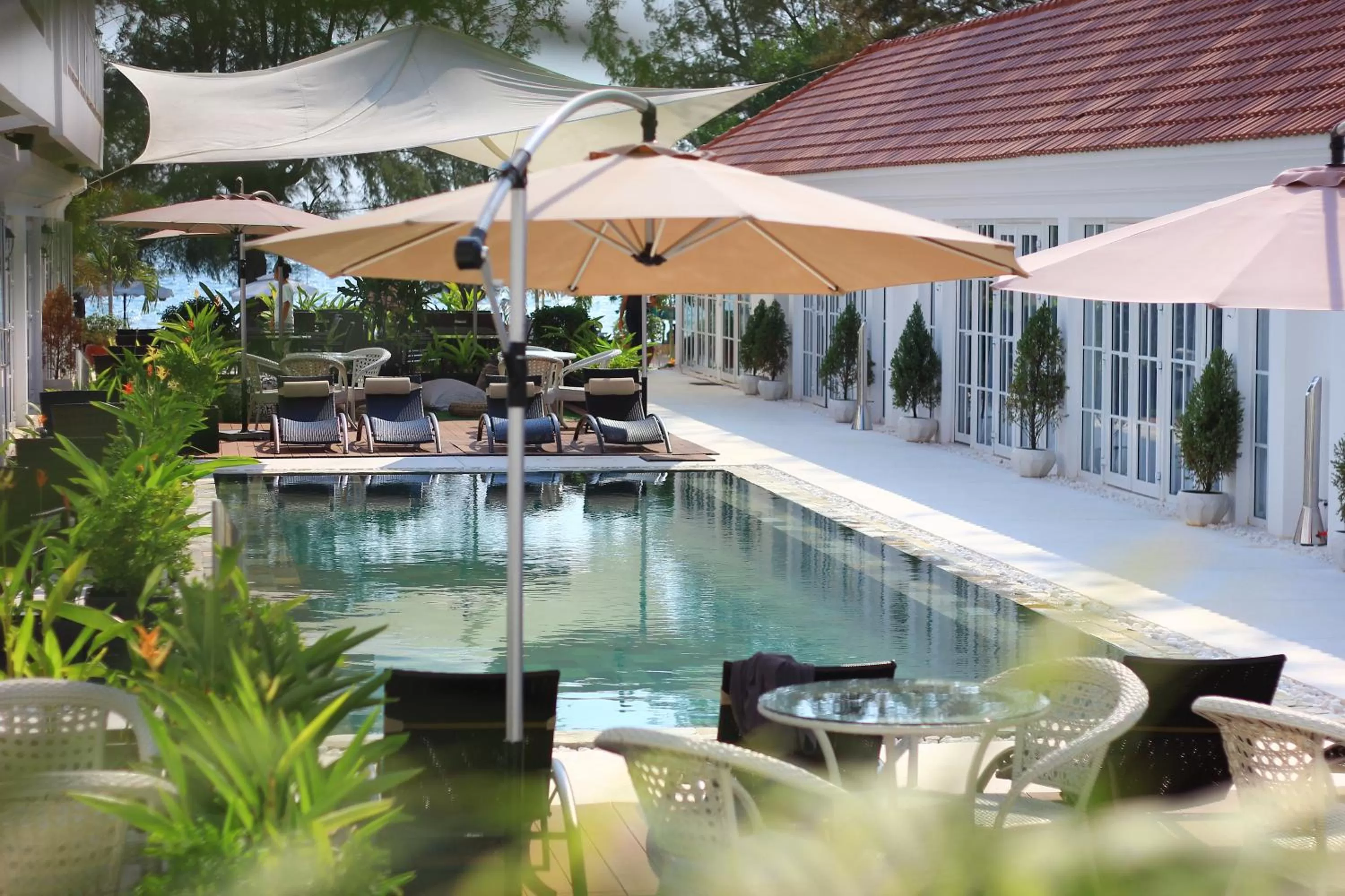 Swimming pool in White Boutique Hotel and Residences