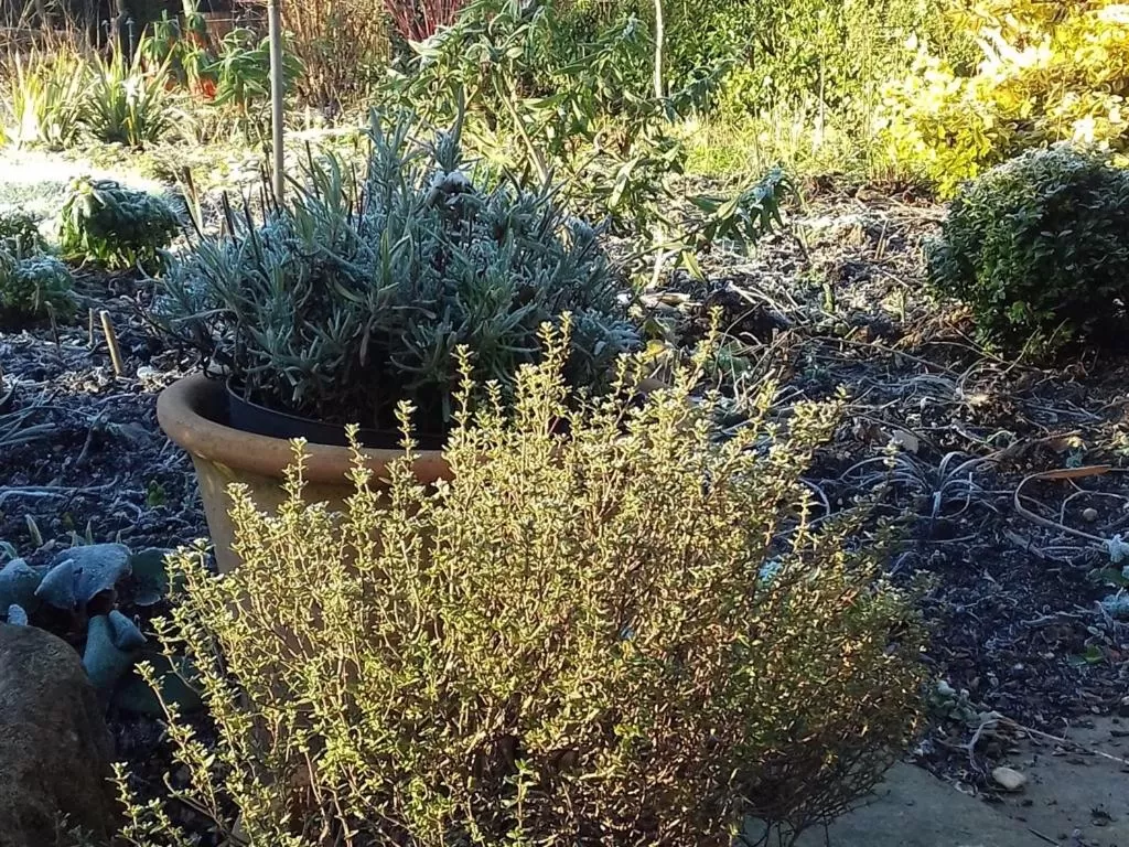 Property building in Field Farm Cottage B&B